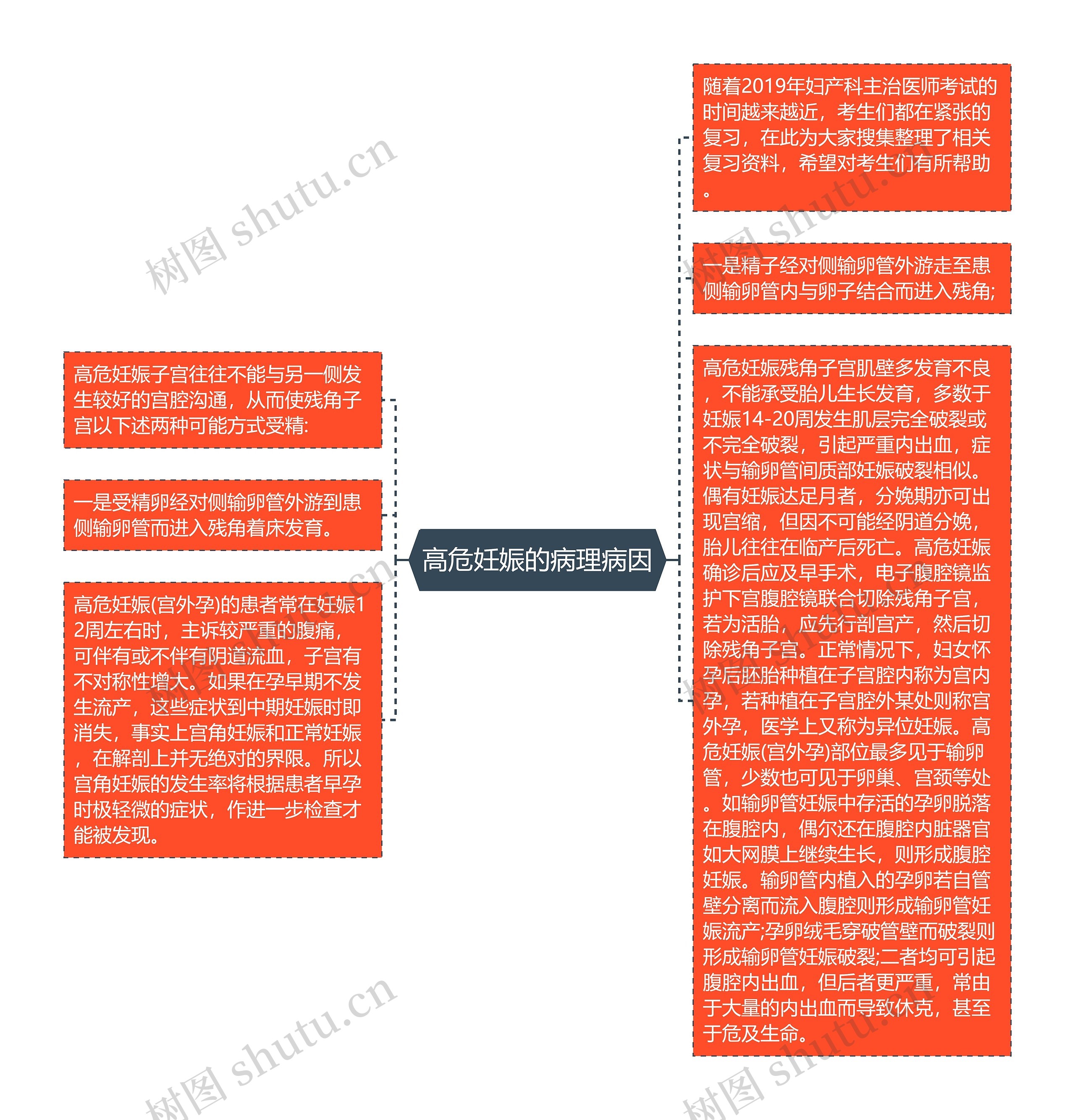 高危妊娠的病理病因思维导图