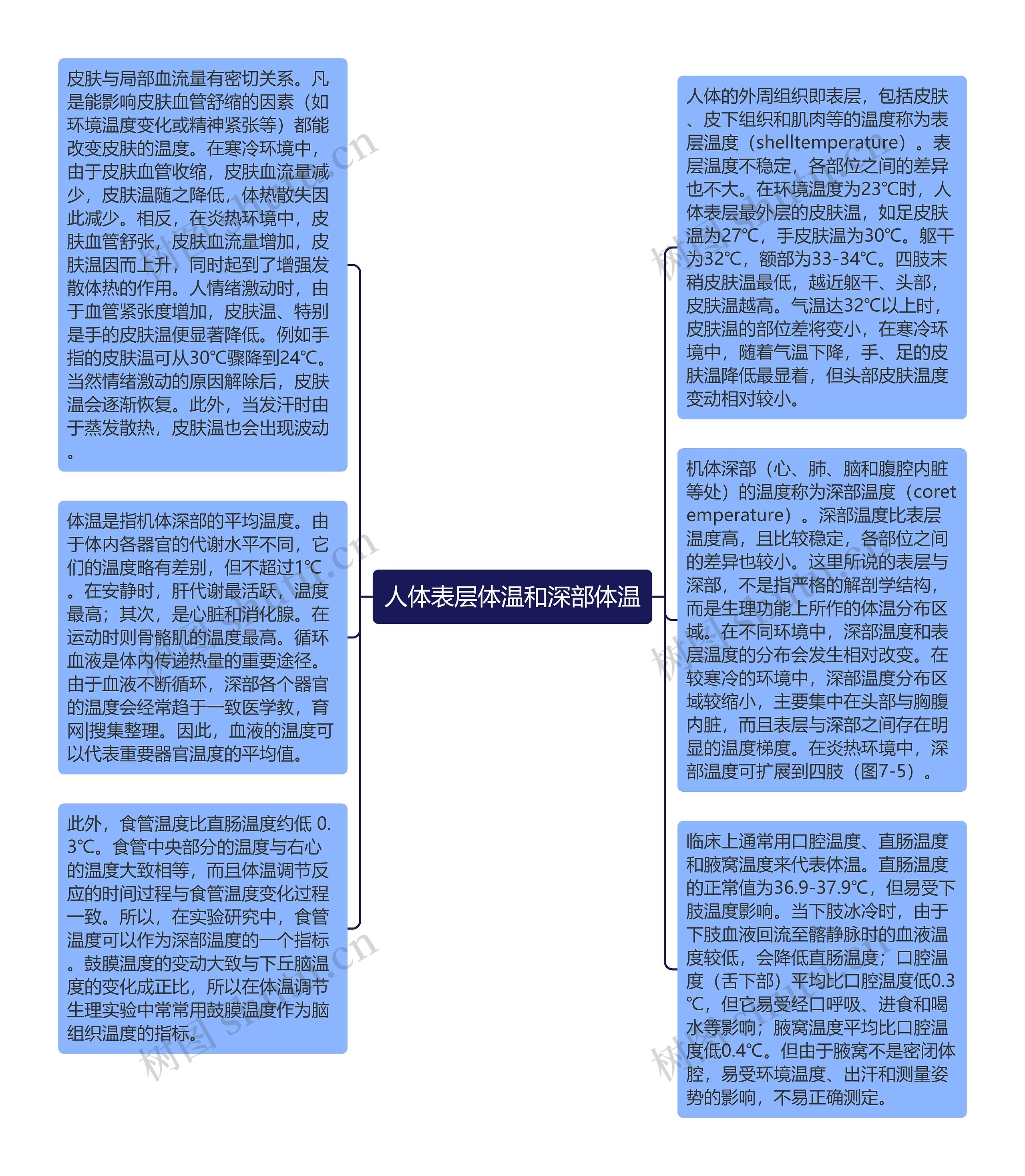 人体表层体温和深部体温