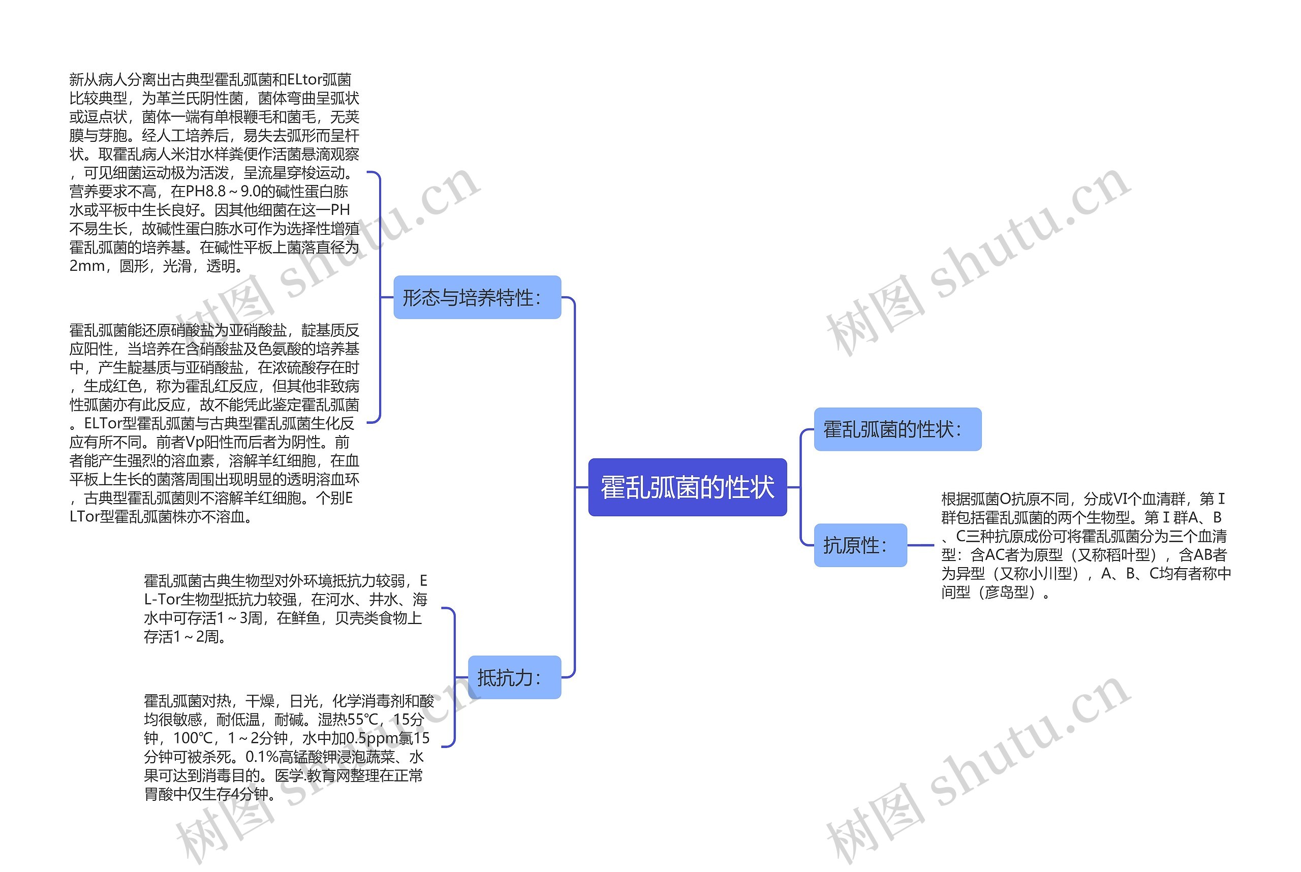 霍乱弧菌的性状思维导图