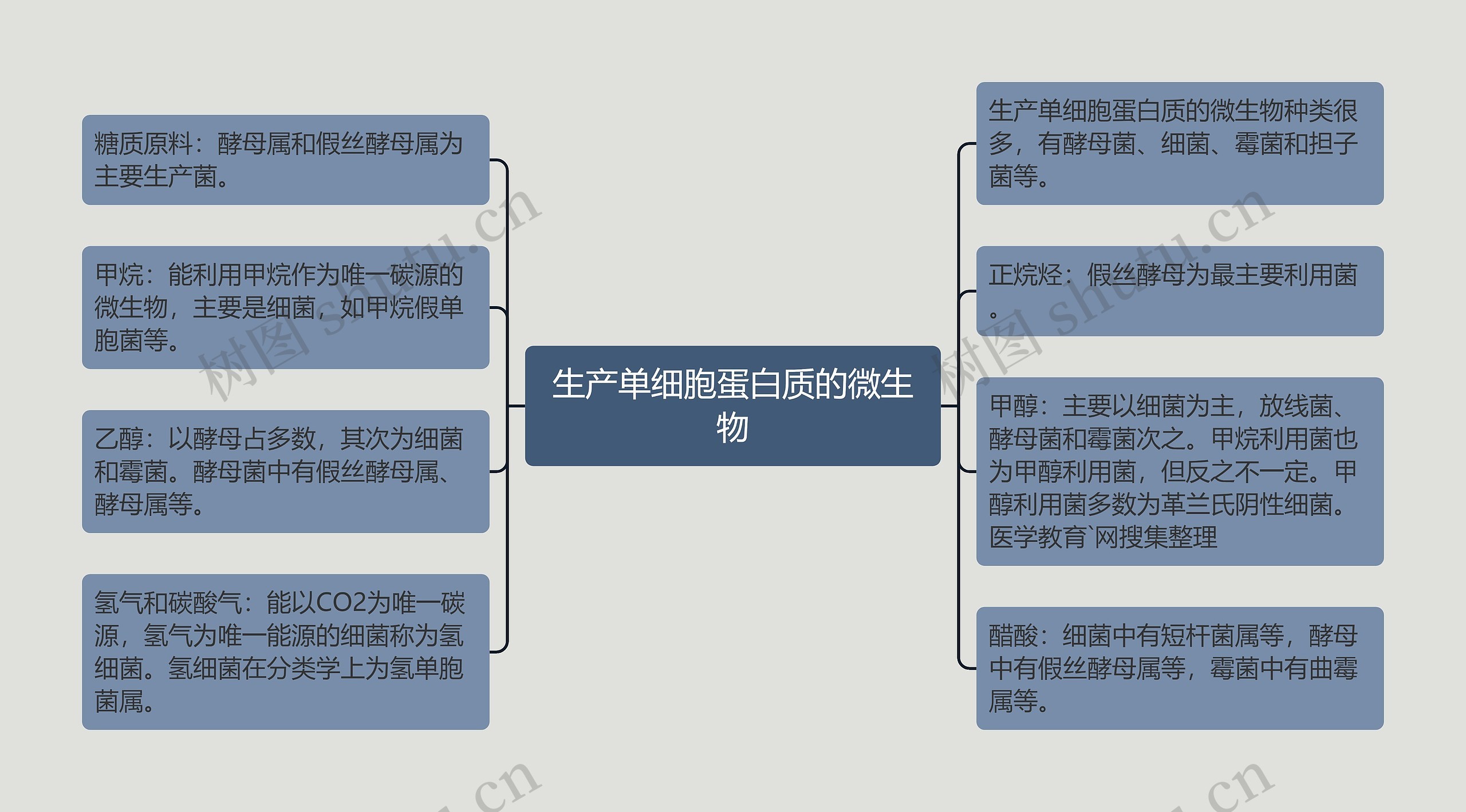 生产单细胞蛋白质的微生物思维导图