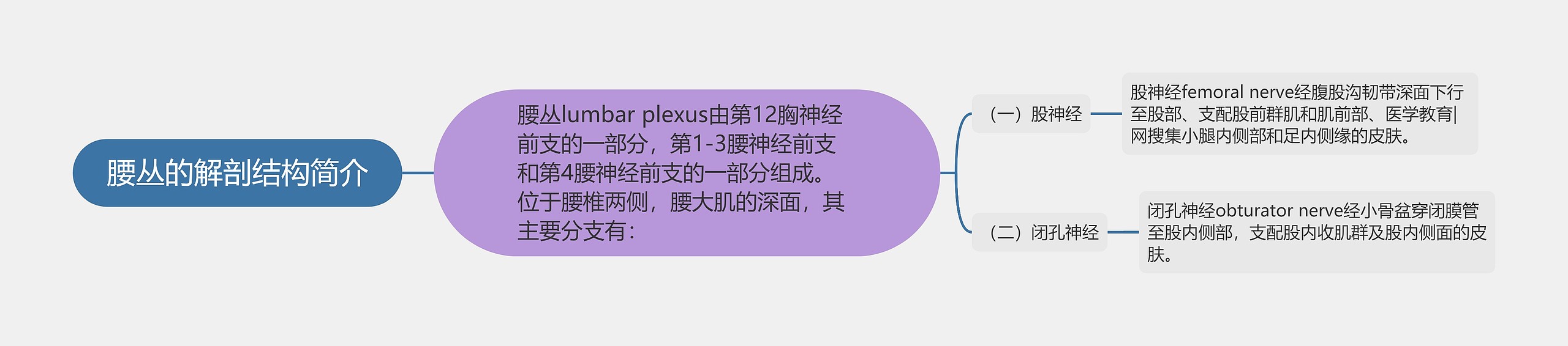 腰丛的解剖结构简介思维导图