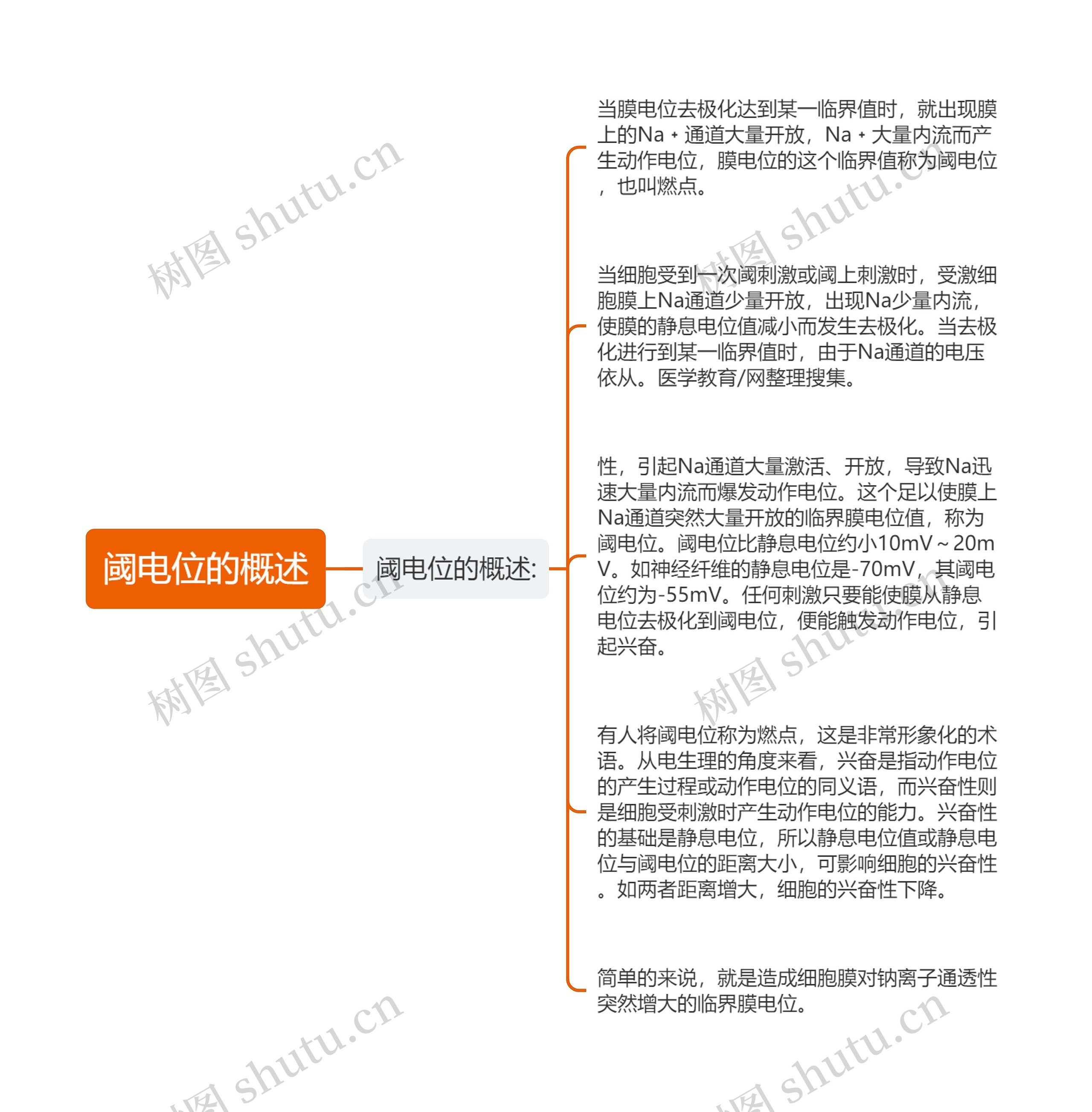 阈电位的概述思维导图