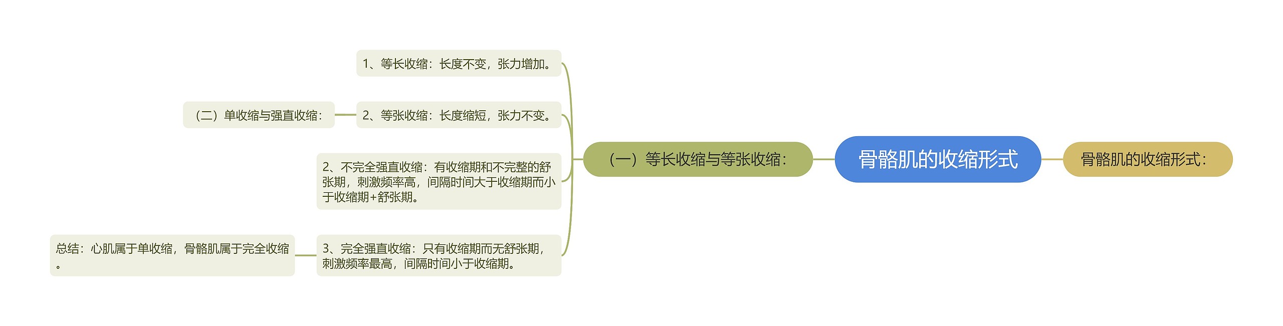 骨骼肌的收缩形式 骨骼肌的收缩形式