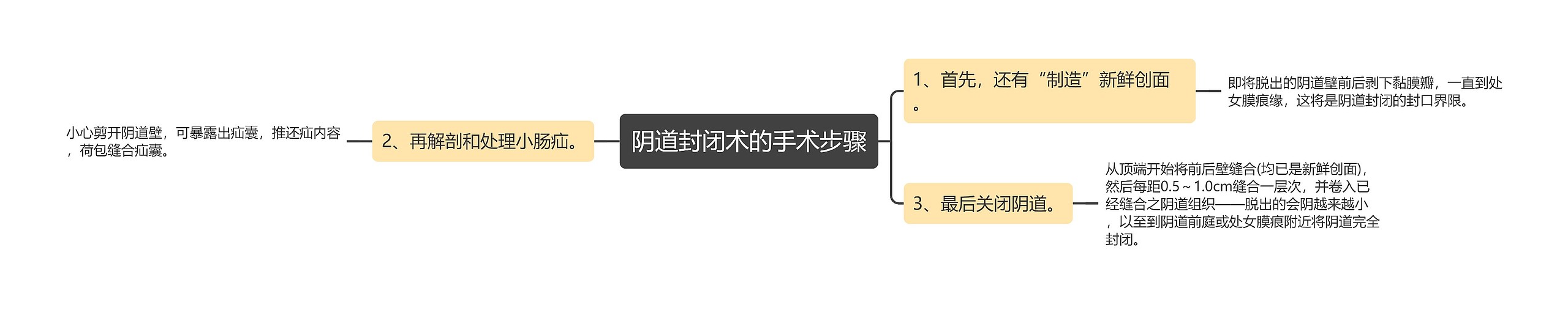 阴道封闭术的手术步骤思维导图