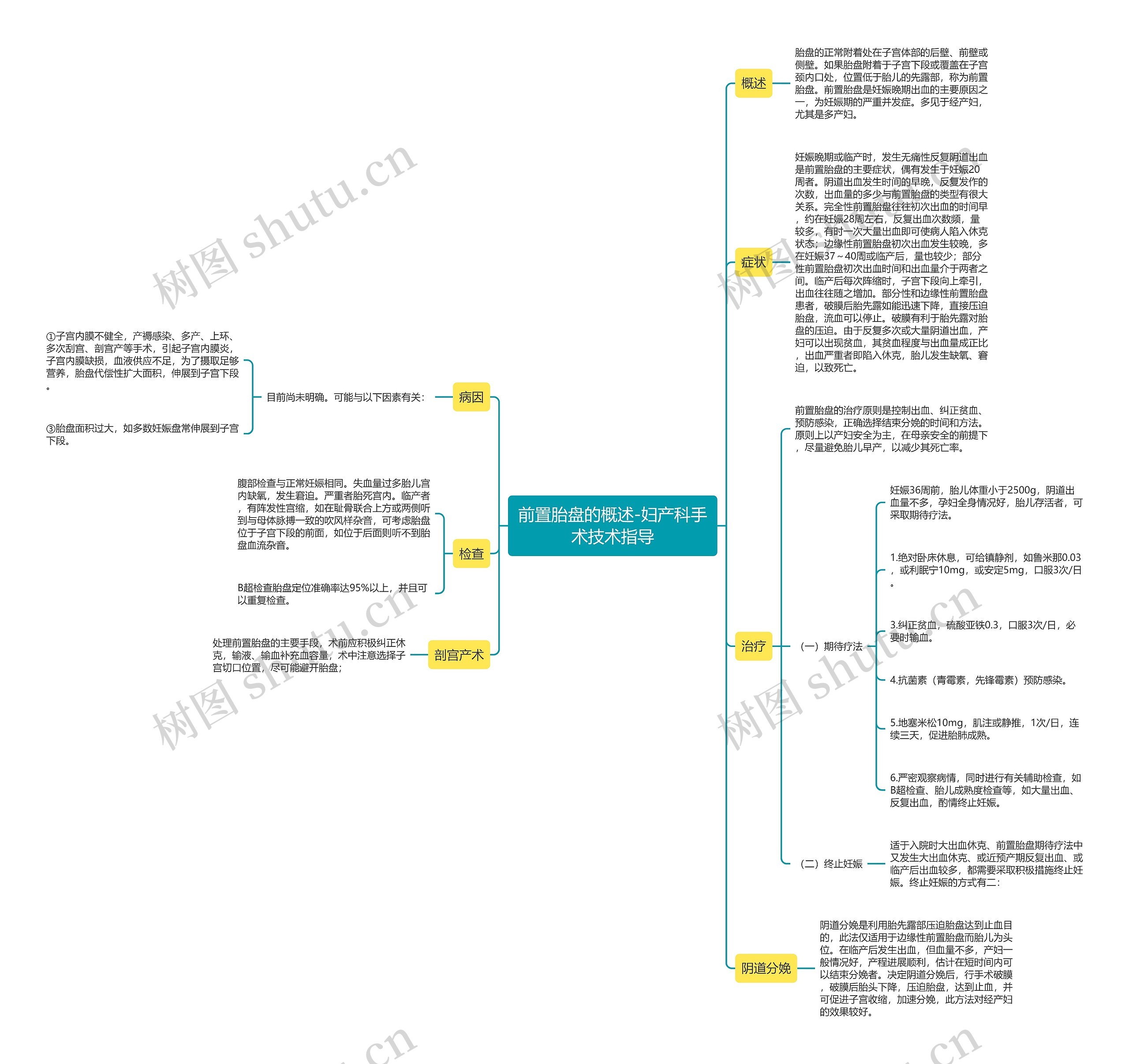 前置胎盘的概述-妇产科手术技术指导思维导图