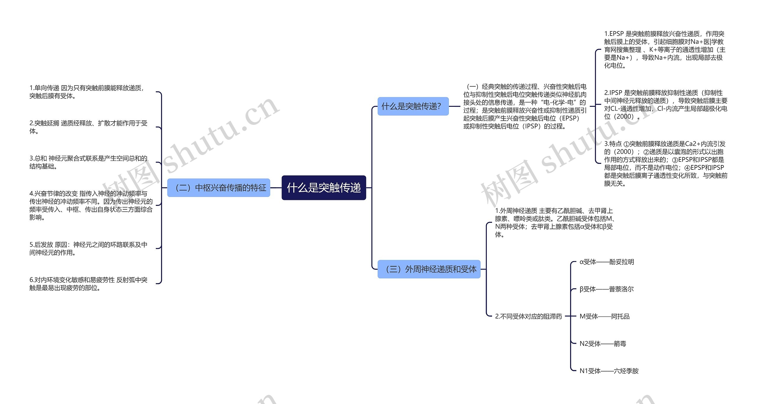 什么是突触传递思维导图