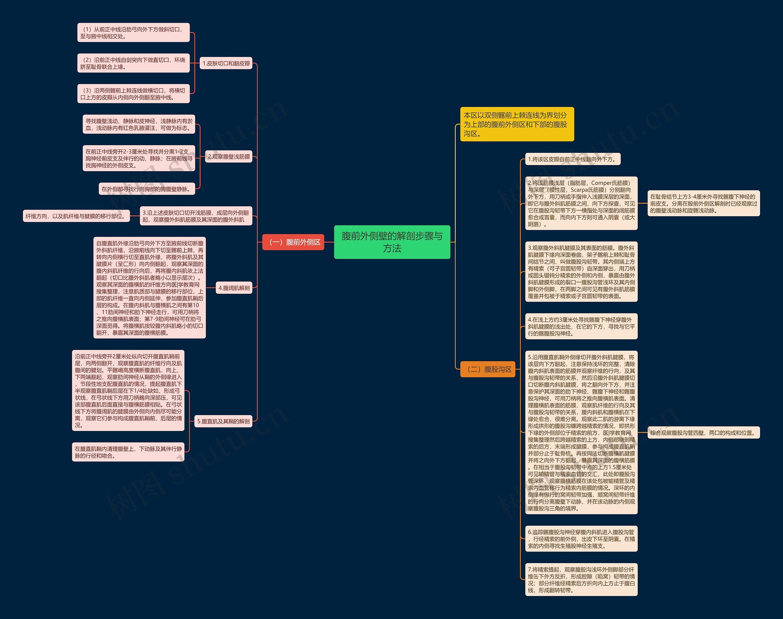 腹前外侧壁的解剖步骤与方法思维导图