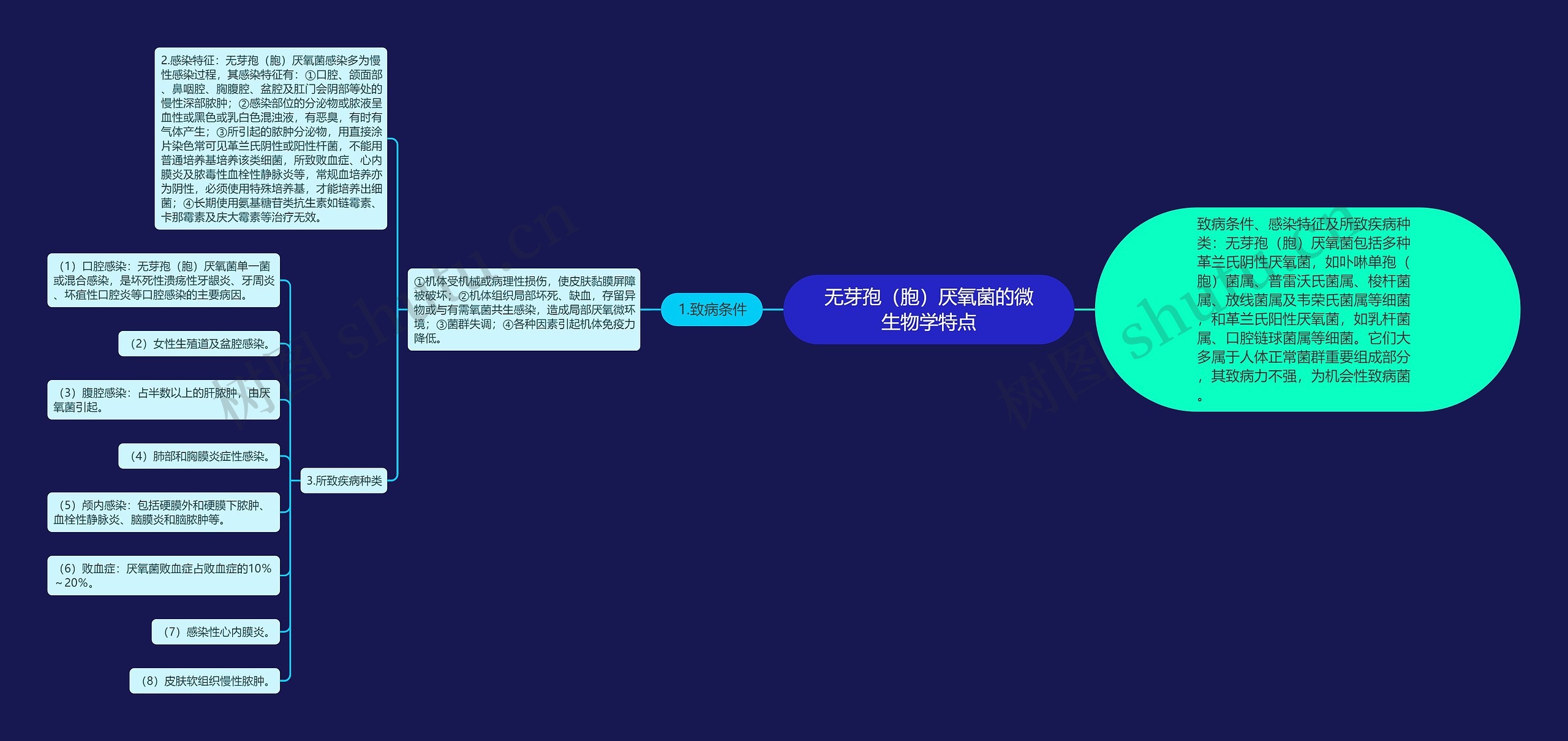 无芽孢（胞）厌氧菌的微生物学特点思维导图