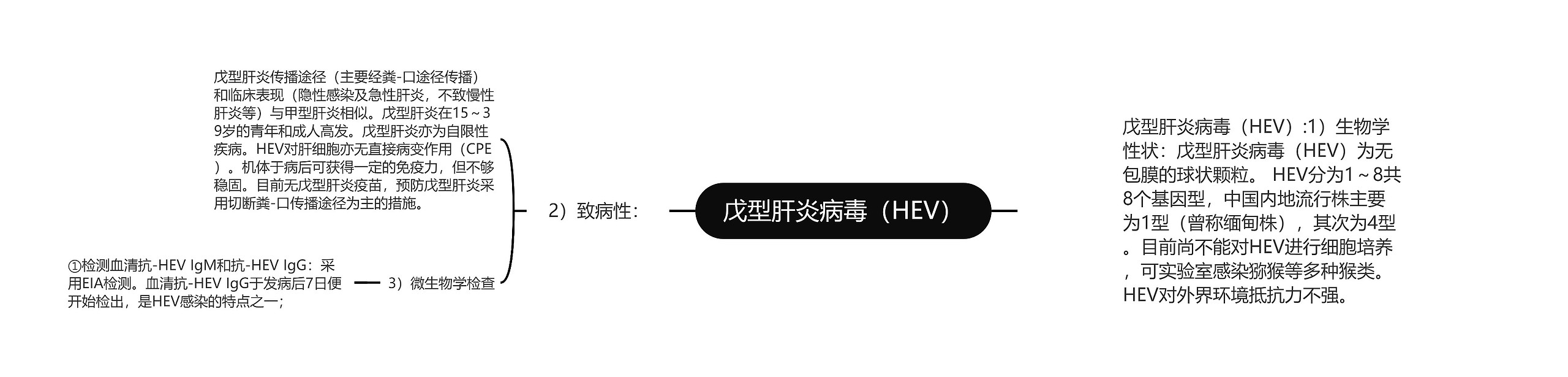 戊型肝炎病毒（HEV）