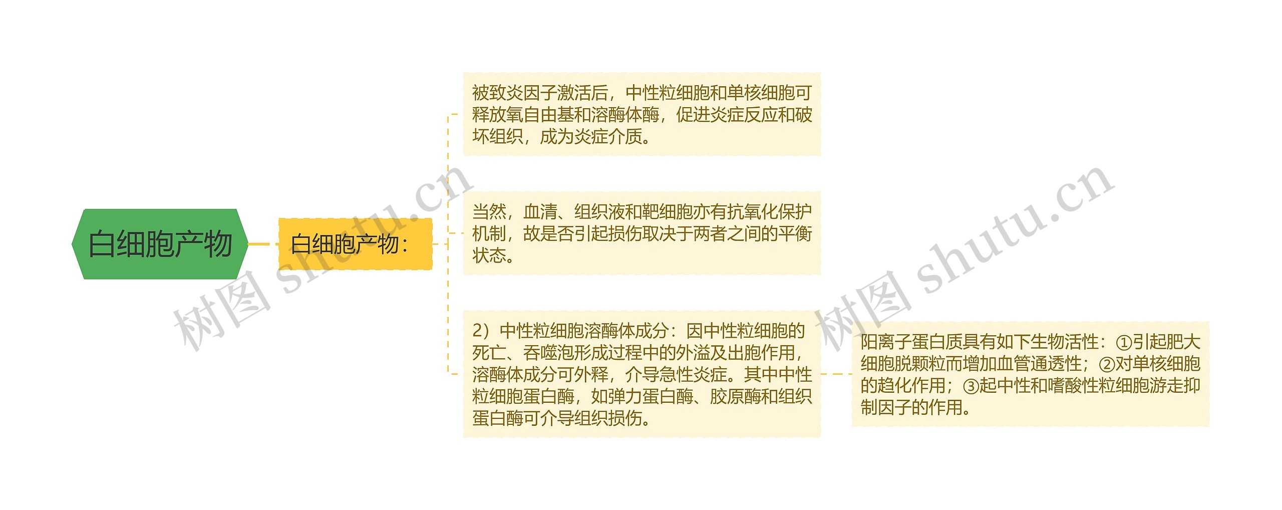 白细胞产物