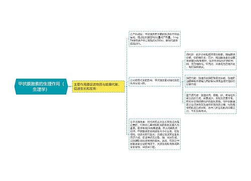 甲状腺激素的生理作用（生理学）