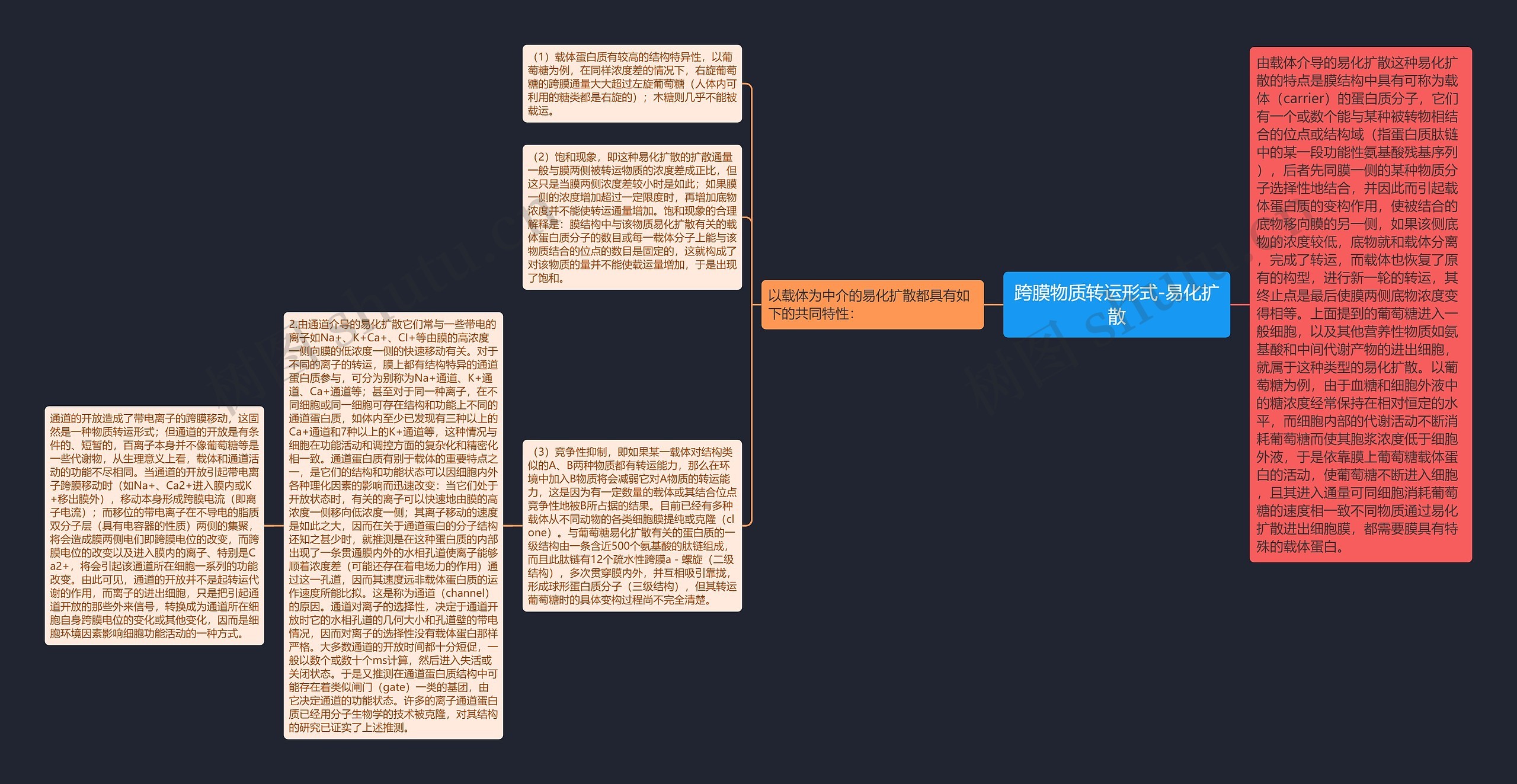 跨膜物质转运形式-易化扩散思维导图