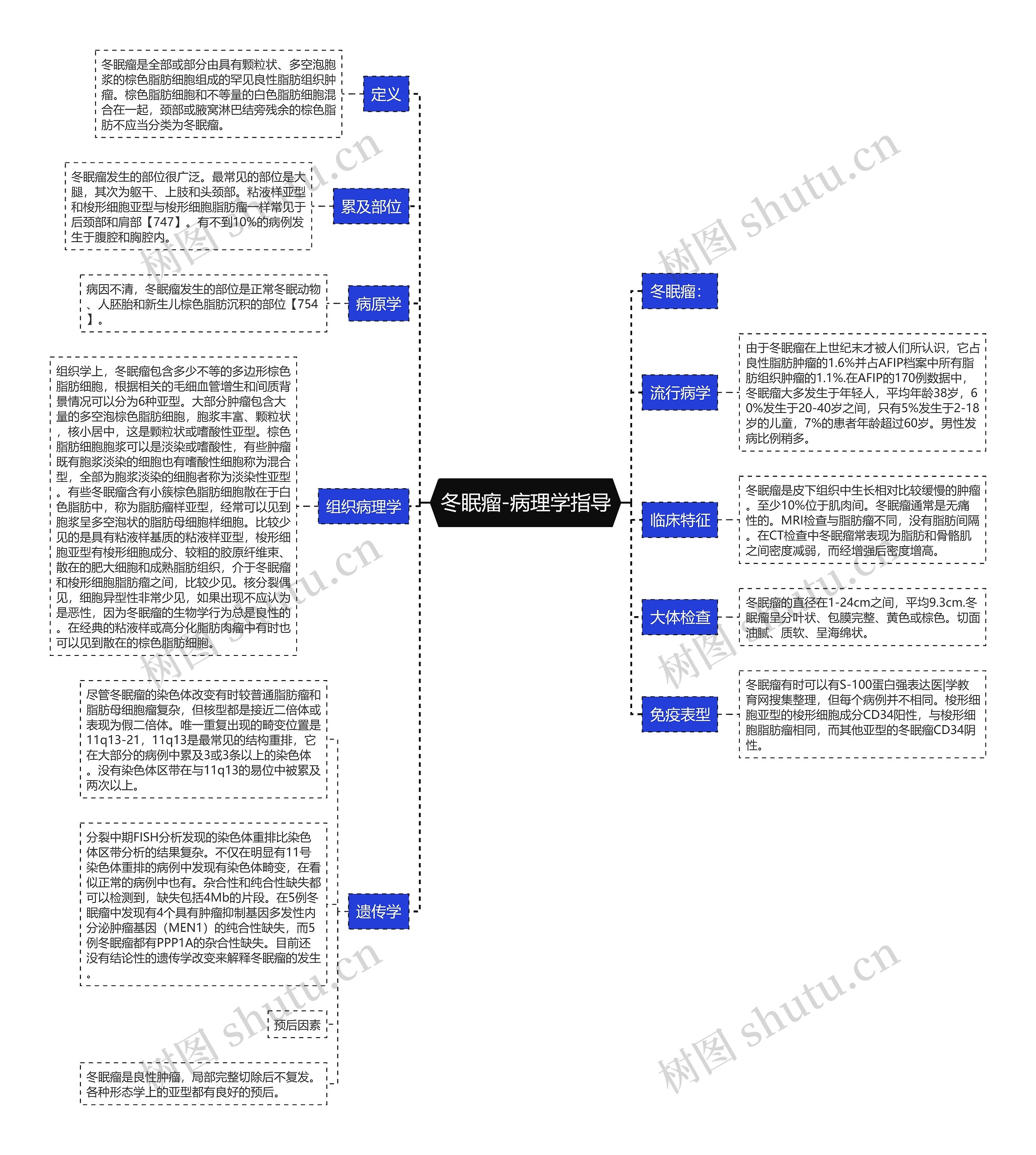 冬眠瘤-病理学指导思维导图