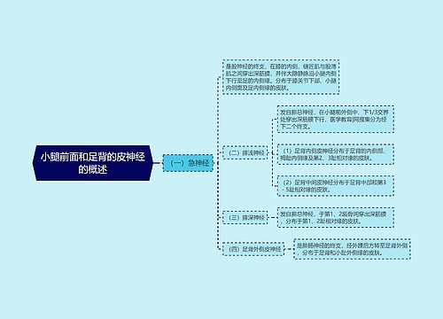 小腿前面和足背的皮神经的概述