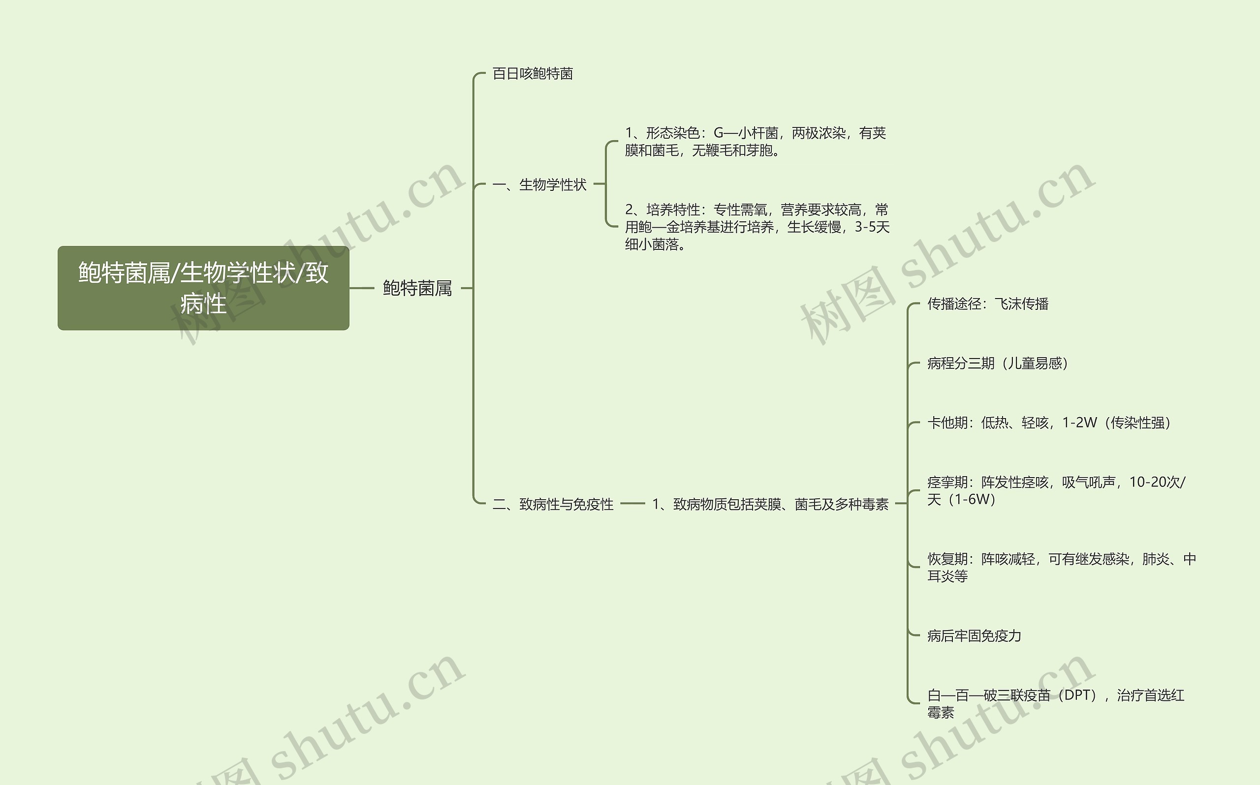 鲍特菌属/生物学性状/致病性思维导图