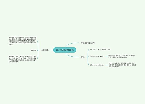 牙形态|构造|牙式