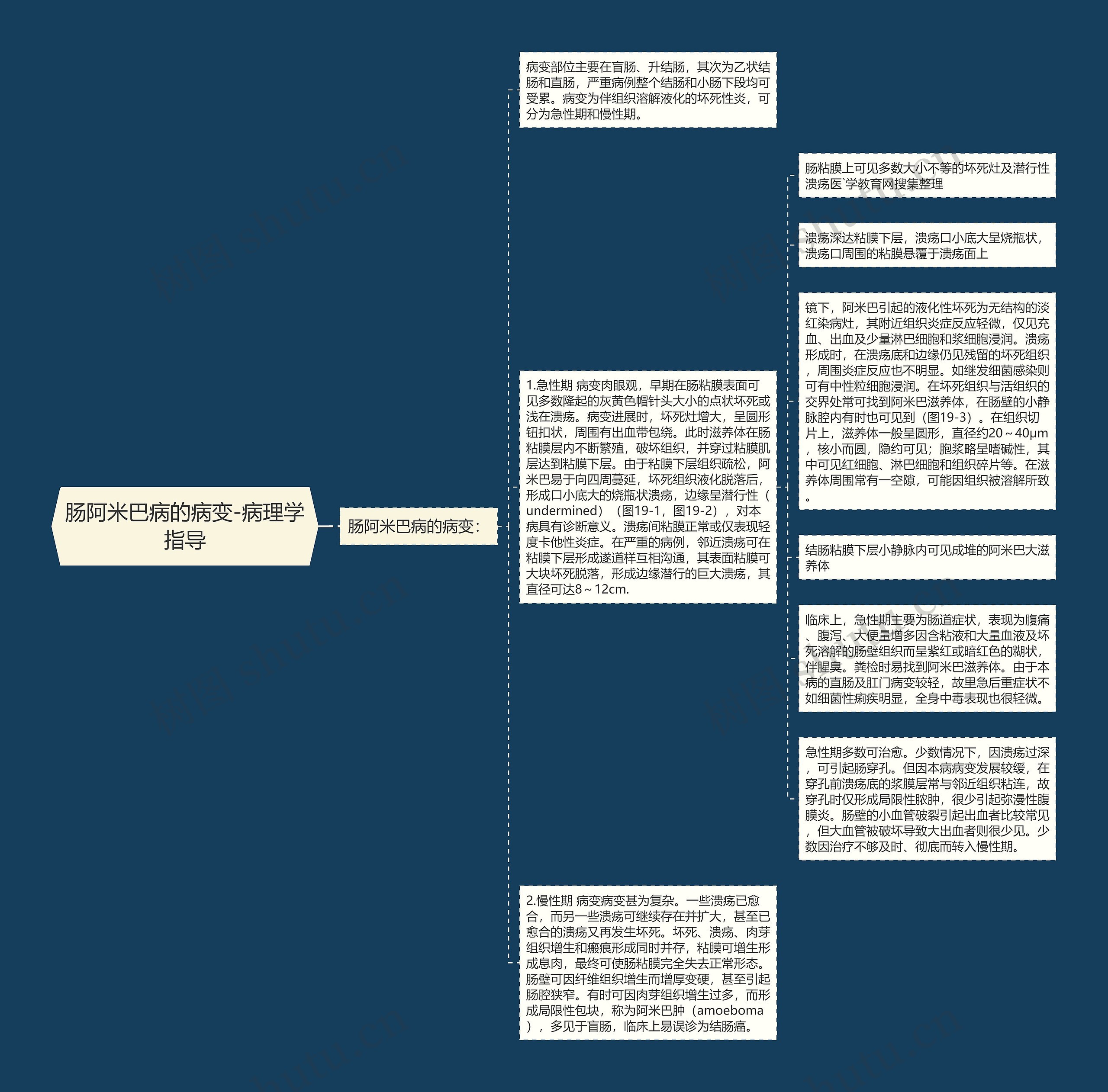 肠阿米巴病的病变-病理学指导思维导图