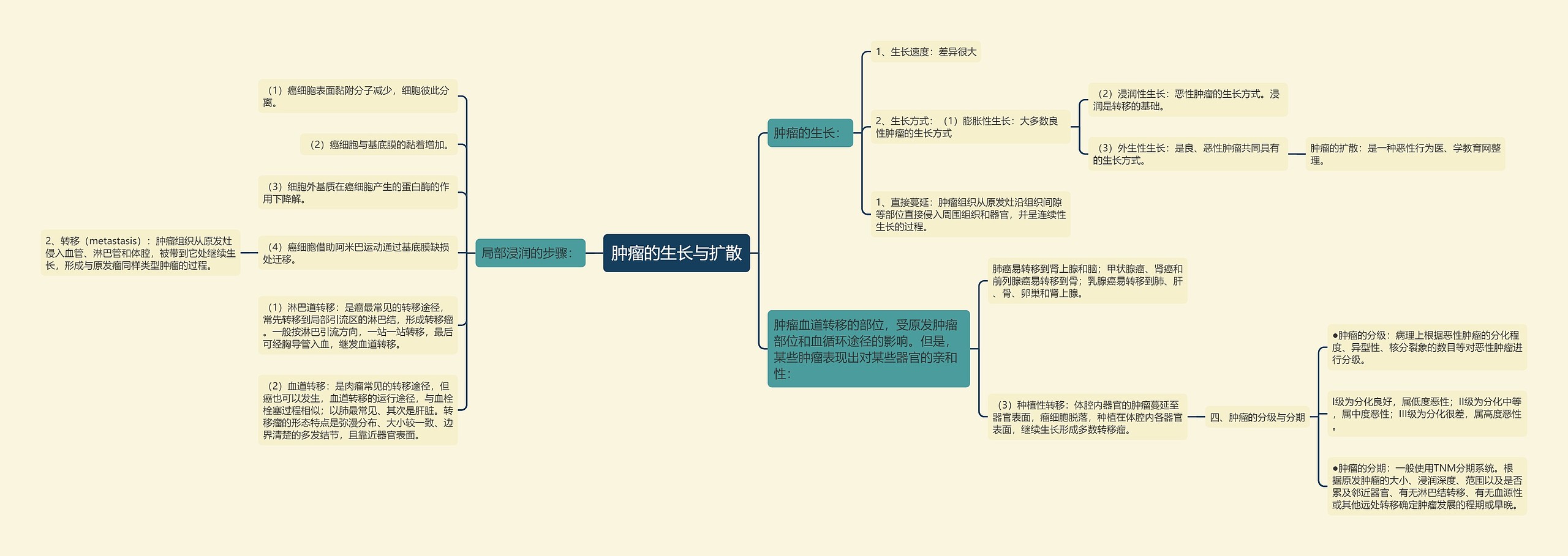 肿瘤的生长与扩散
