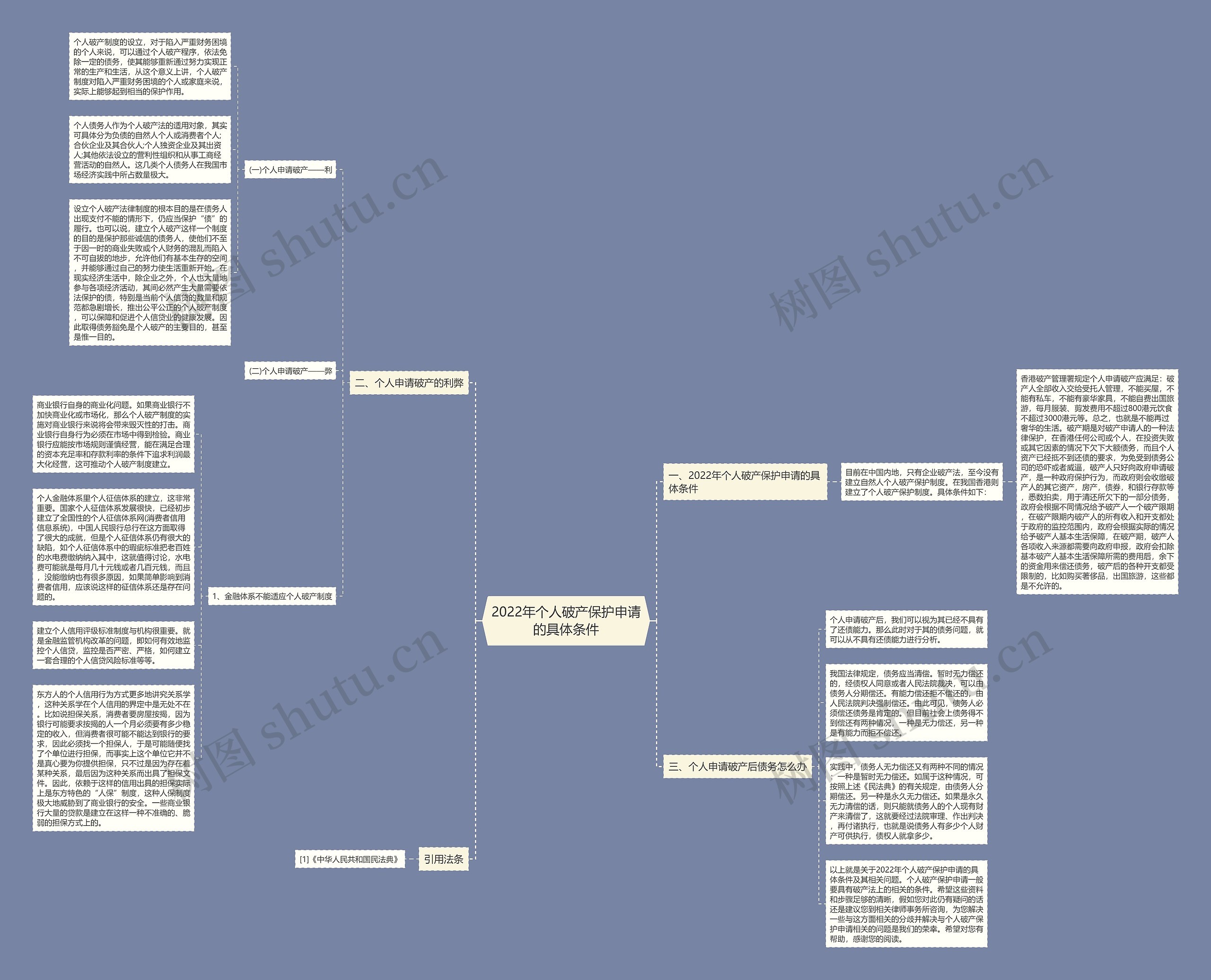 2022年个人破产保护申请的具体条件思维导图