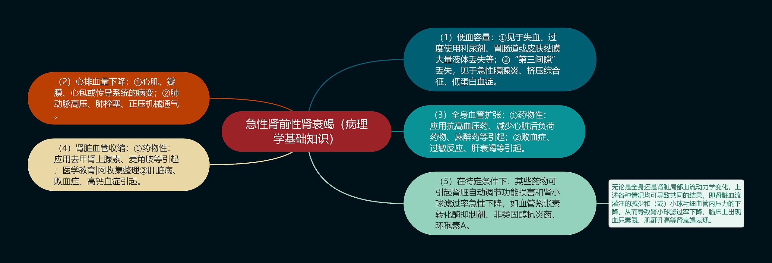 急性肾前性肾衰竭（病理学基础知识）思维导图