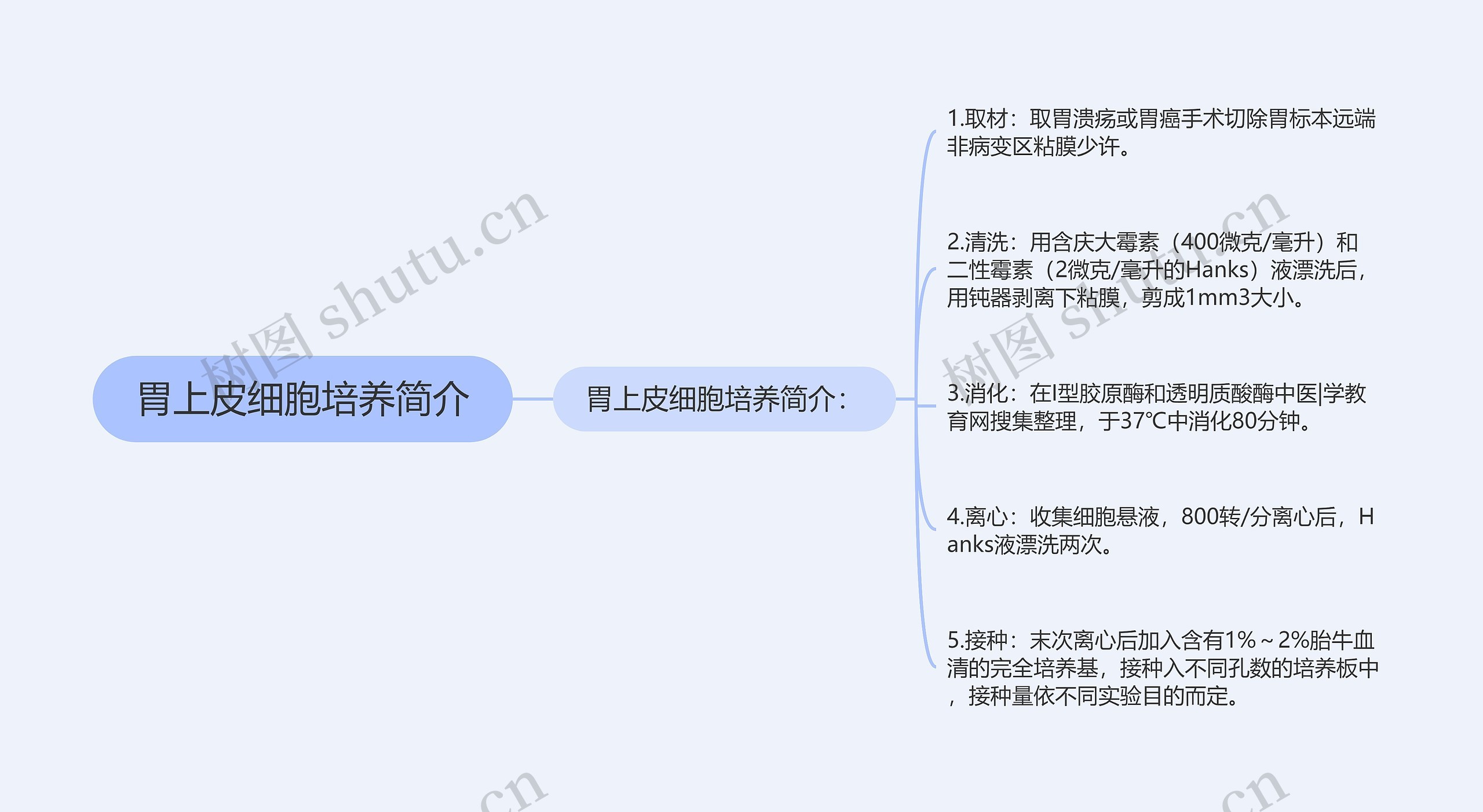 胃上皮细胞培养简介