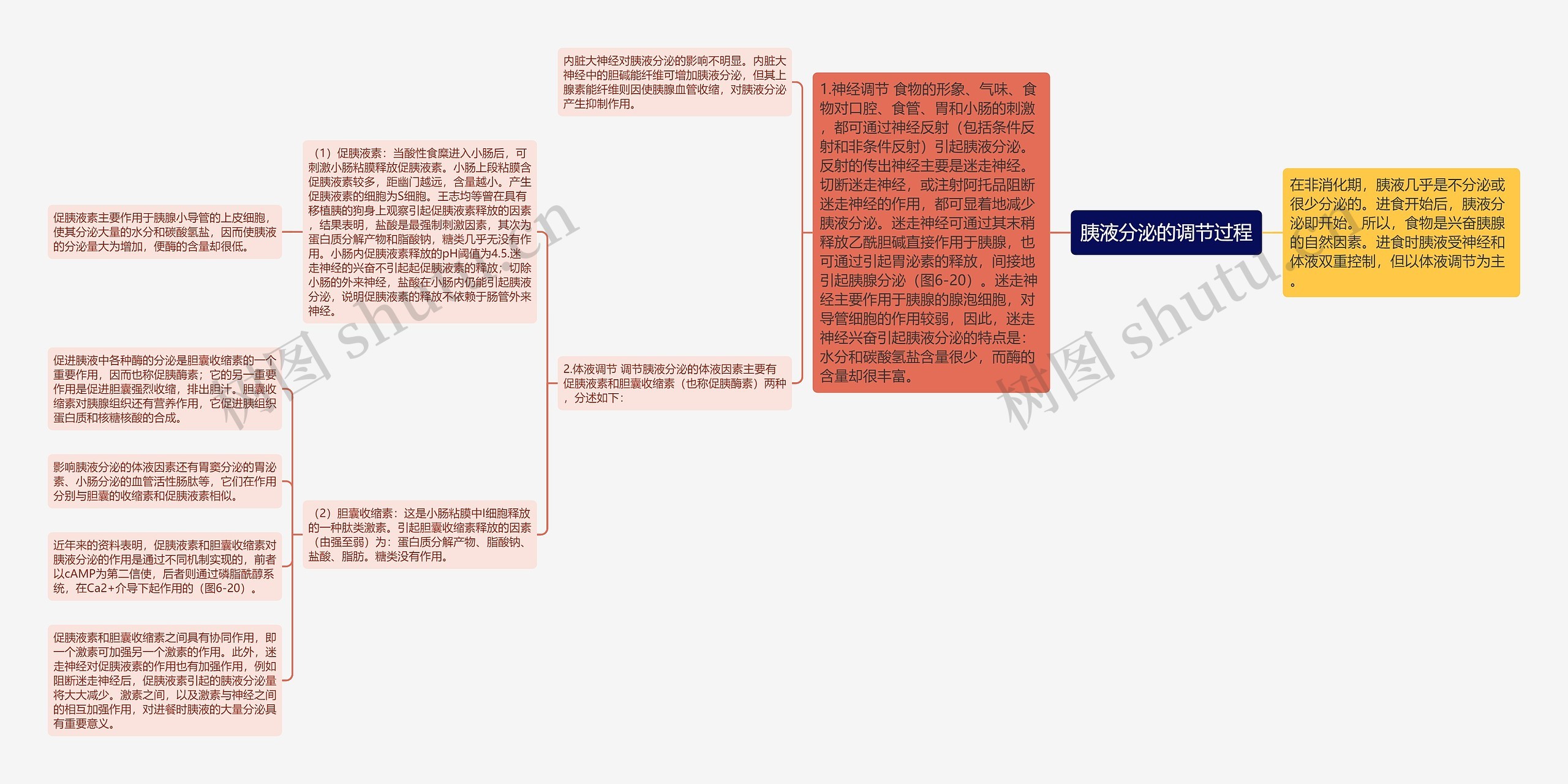 胰液分泌的调节过程思维导图