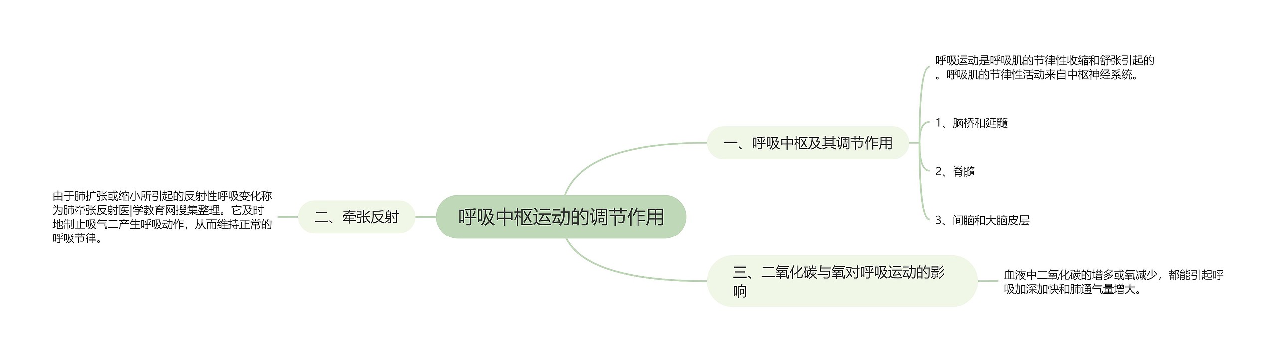 呼吸中枢运动的调节作用思维导图