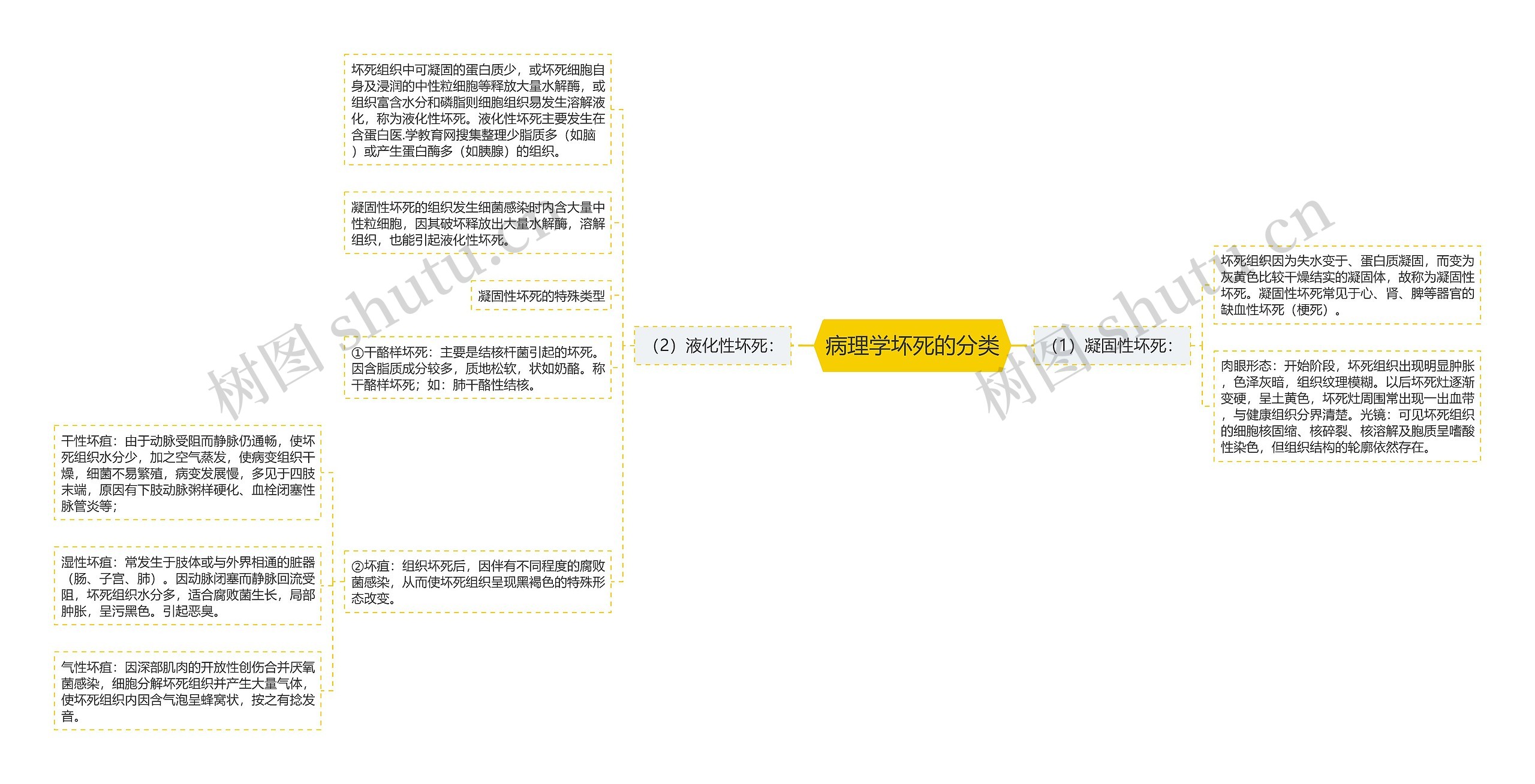 病理学坏死的分类思维导图