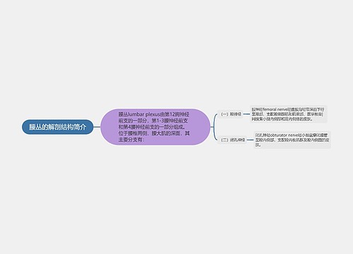 腰丛的解剖结构简介