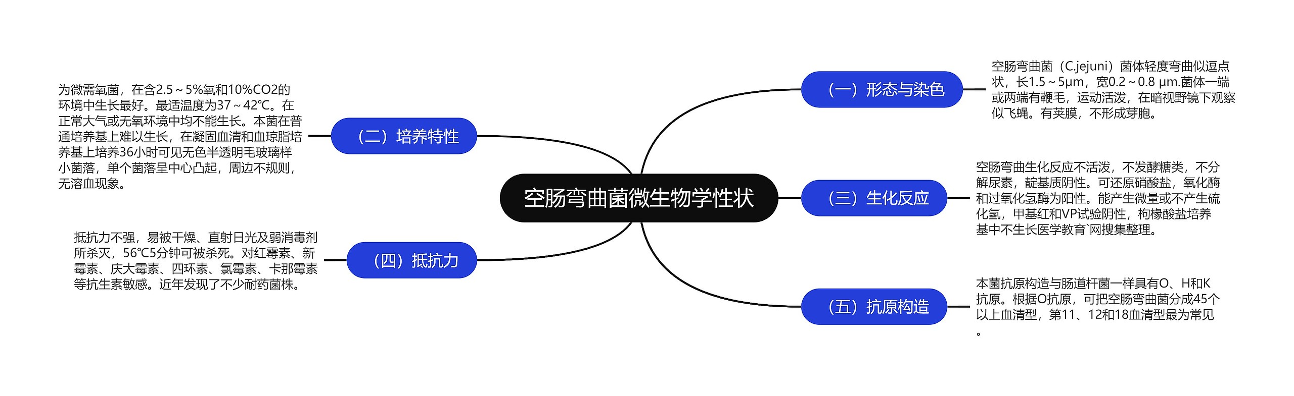 空肠弯曲菌微生物学性状