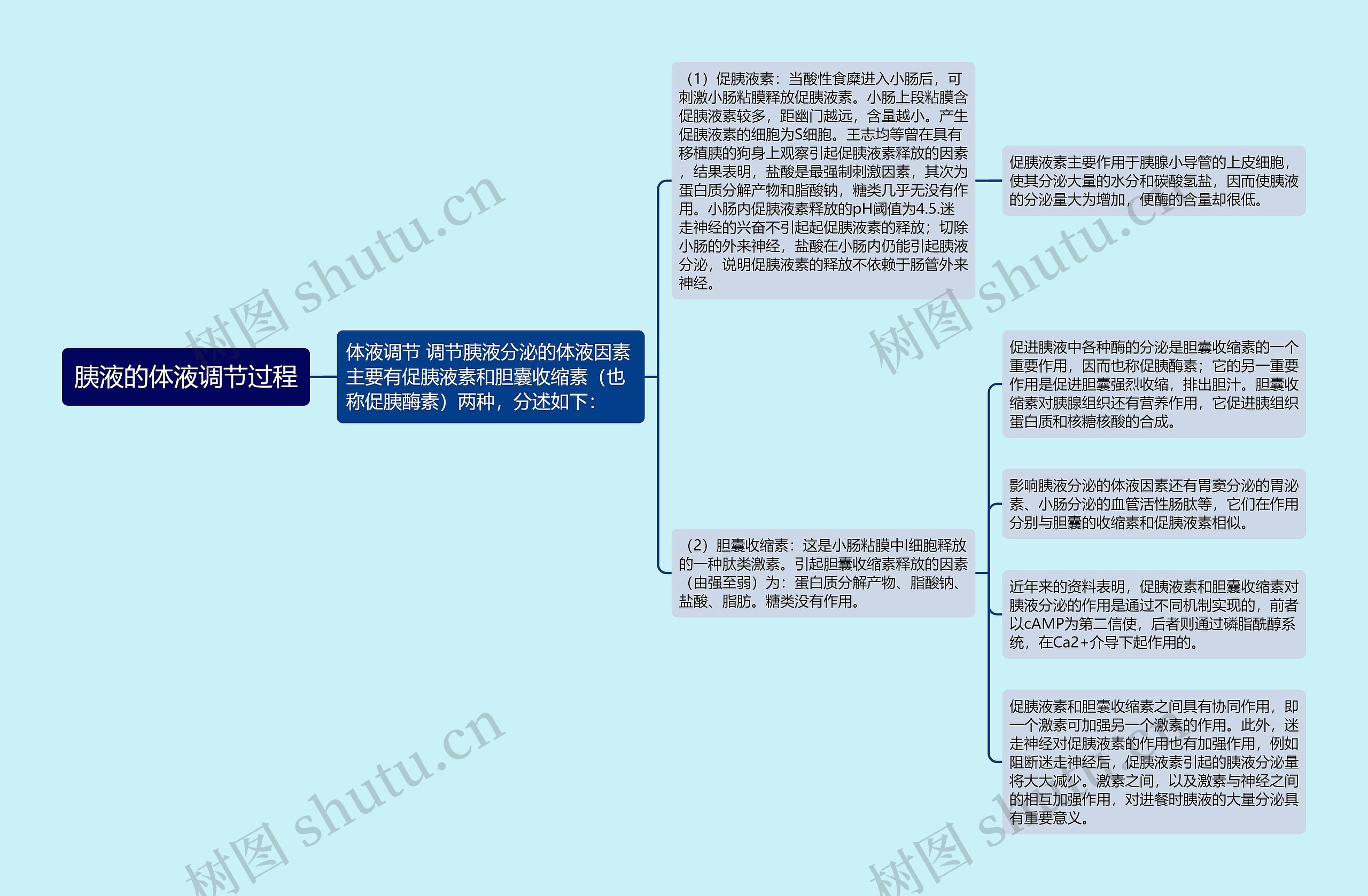 胰液的体液调节过程思维导图