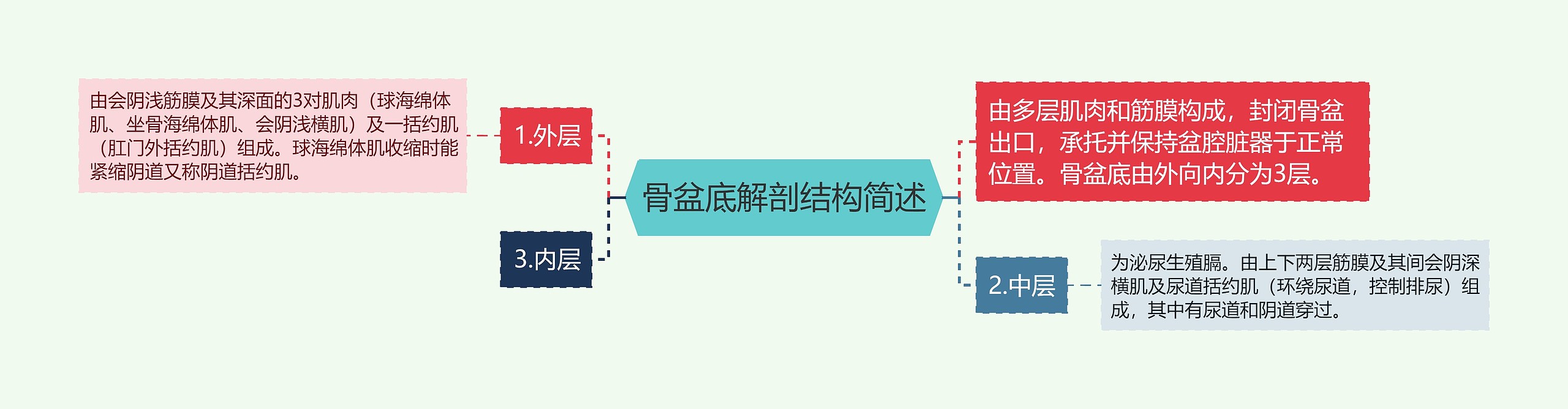 骨盆底解剖结构简述 骨盆底解剖结构简述