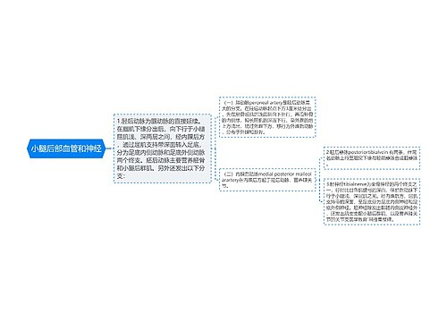 小腿后部血管和神经