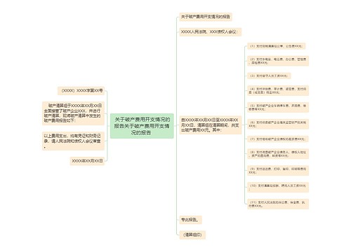  关于破产费用开支情况的报告关于破产费用开支情况的报告 