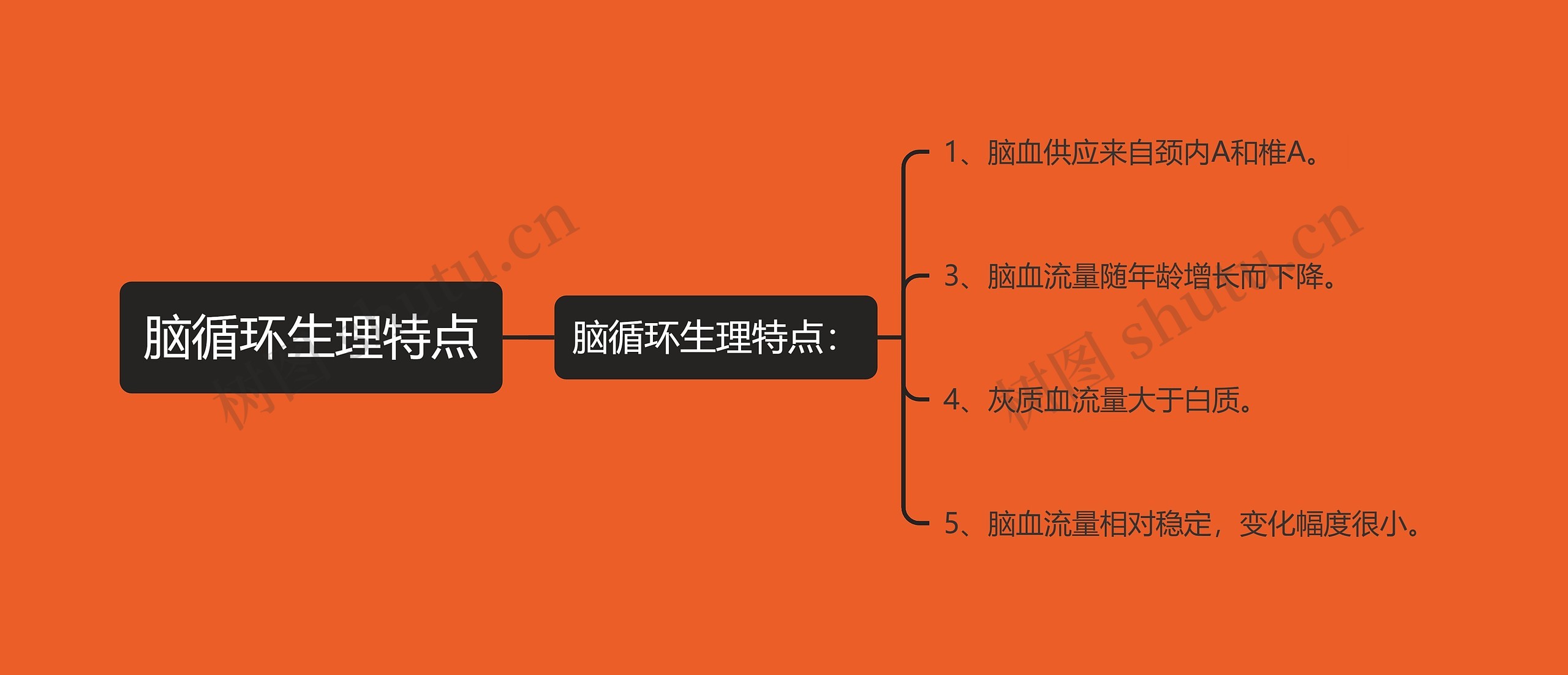 脑循环生理特点思维导图