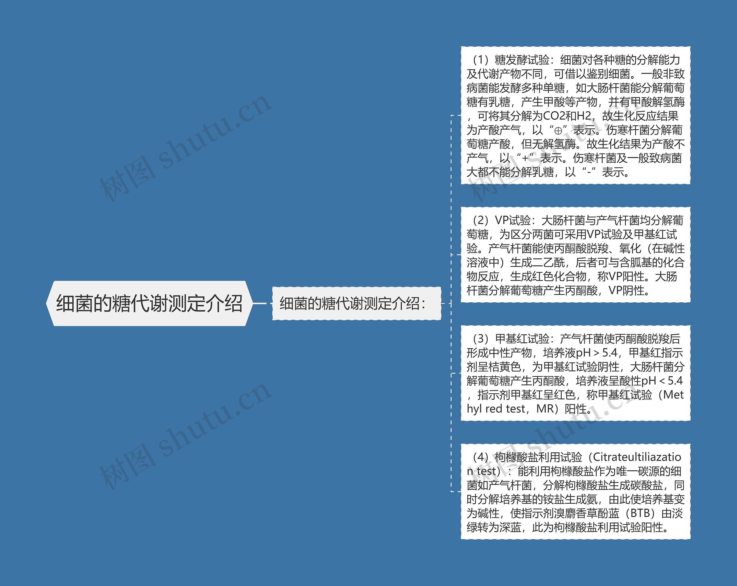 细菌的糖代谢测定介绍思维导图