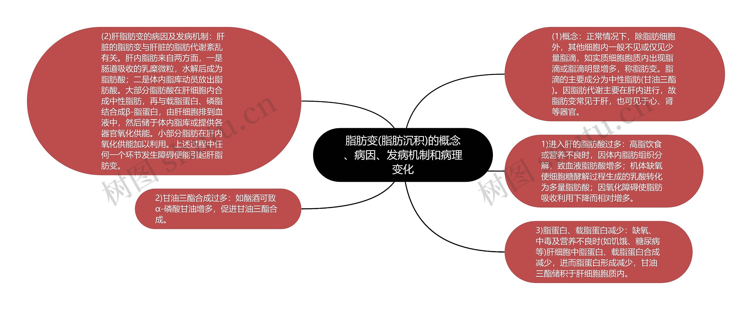 脂肪变(脂肪沉积)的概念、病因、发病机制和病理变化思维导图