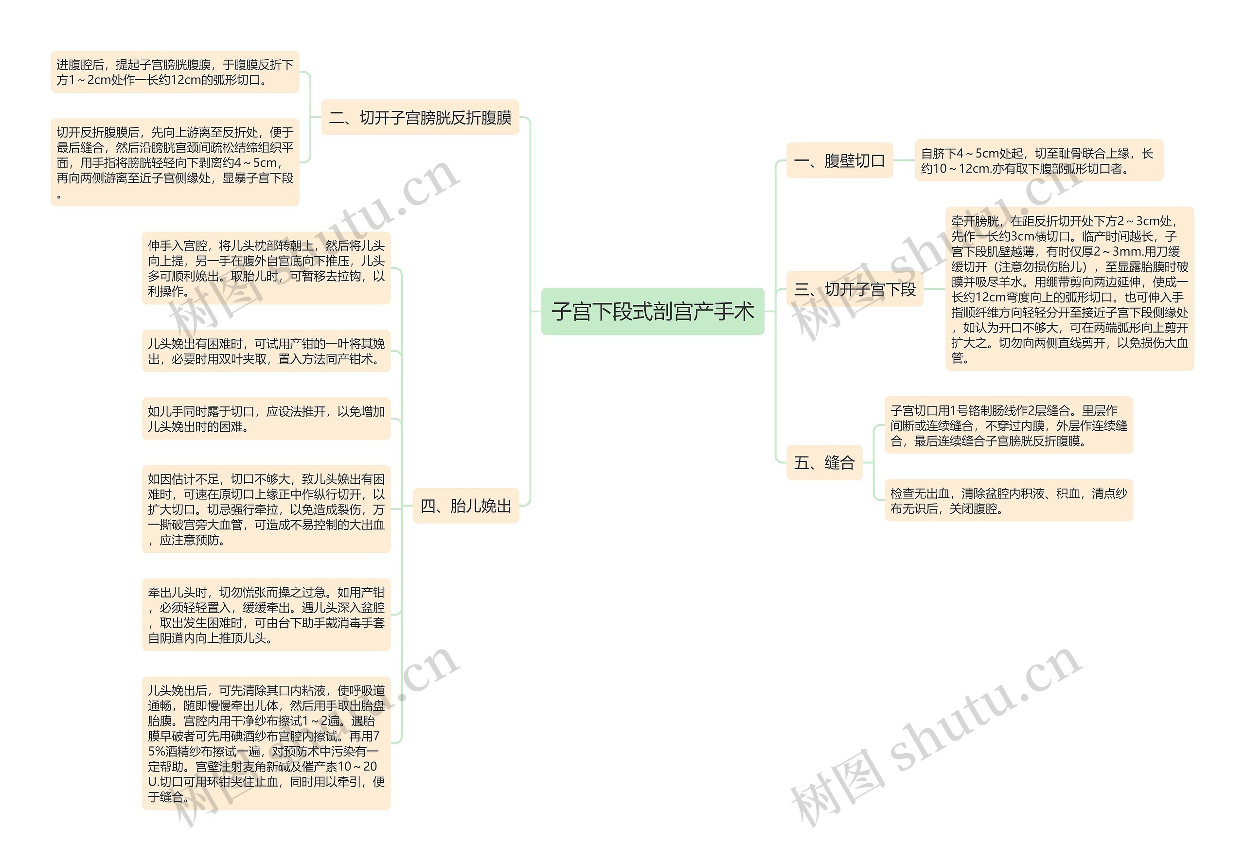 子宫下段式剖宫产手术思维导图