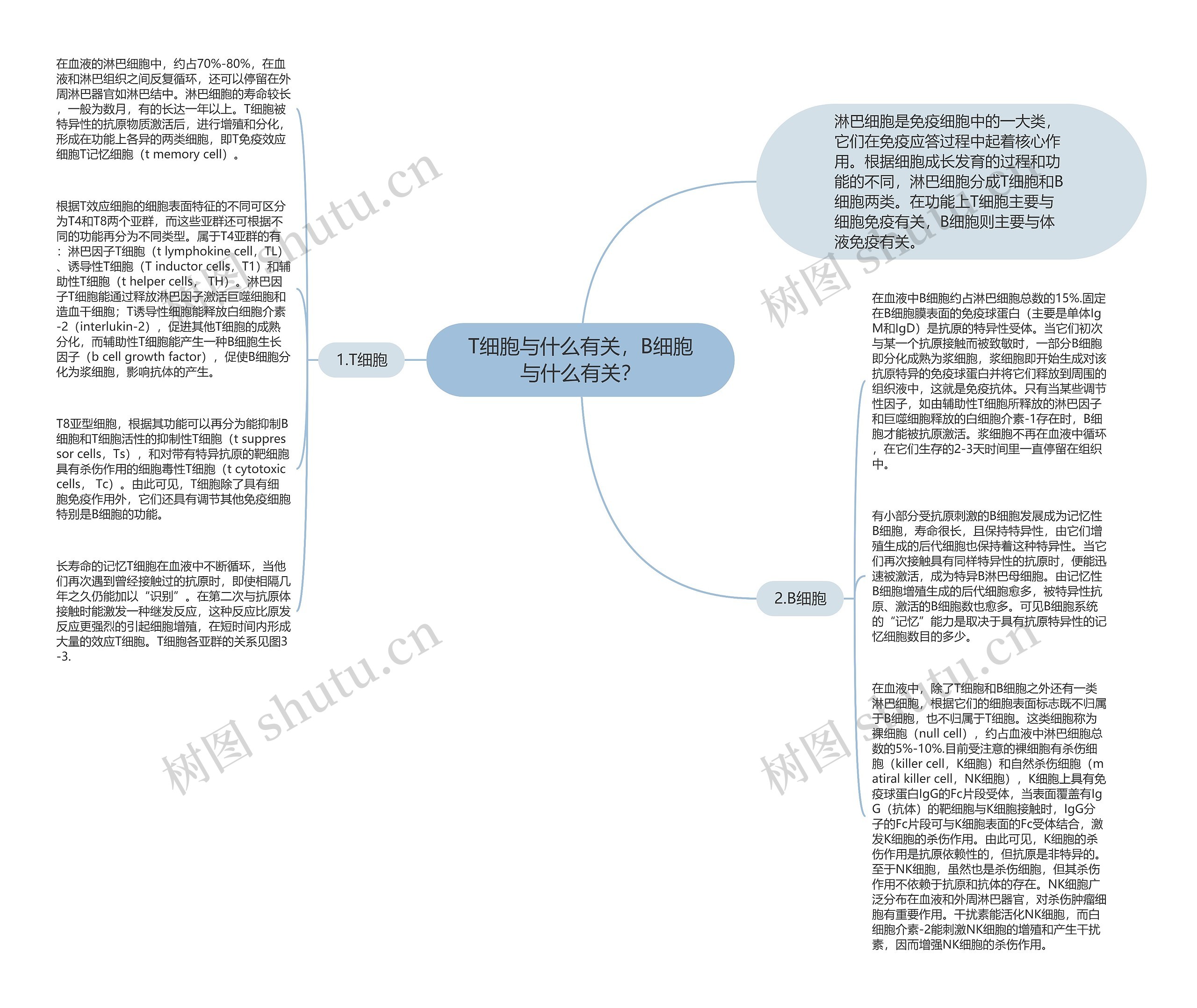 T细胞与什么有关，B细胞与什么有关？思维导图