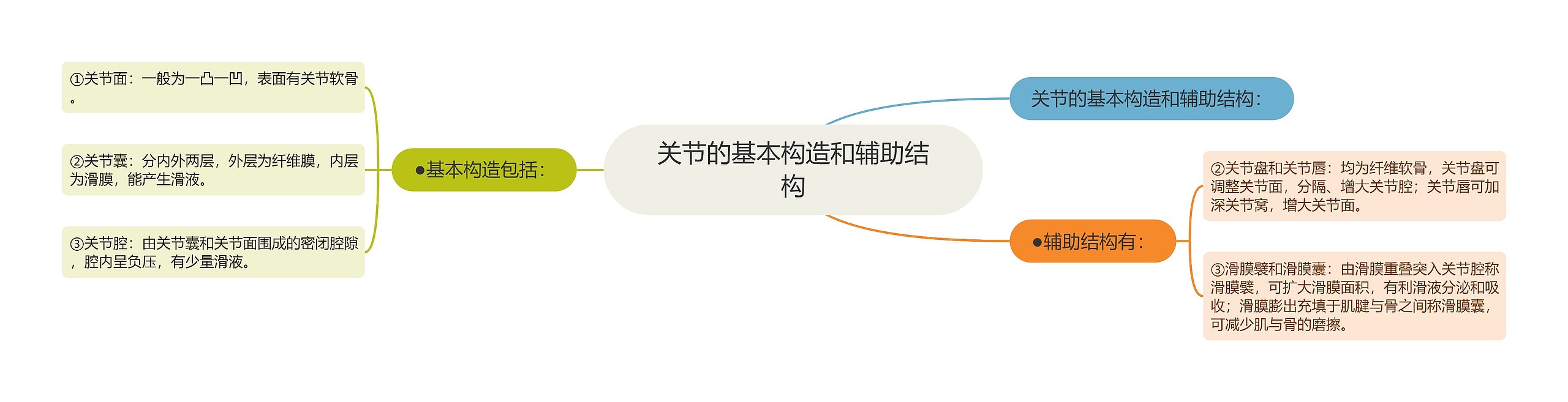 关节的基本构造和辅助结构 关节的基本构造和辅助结构