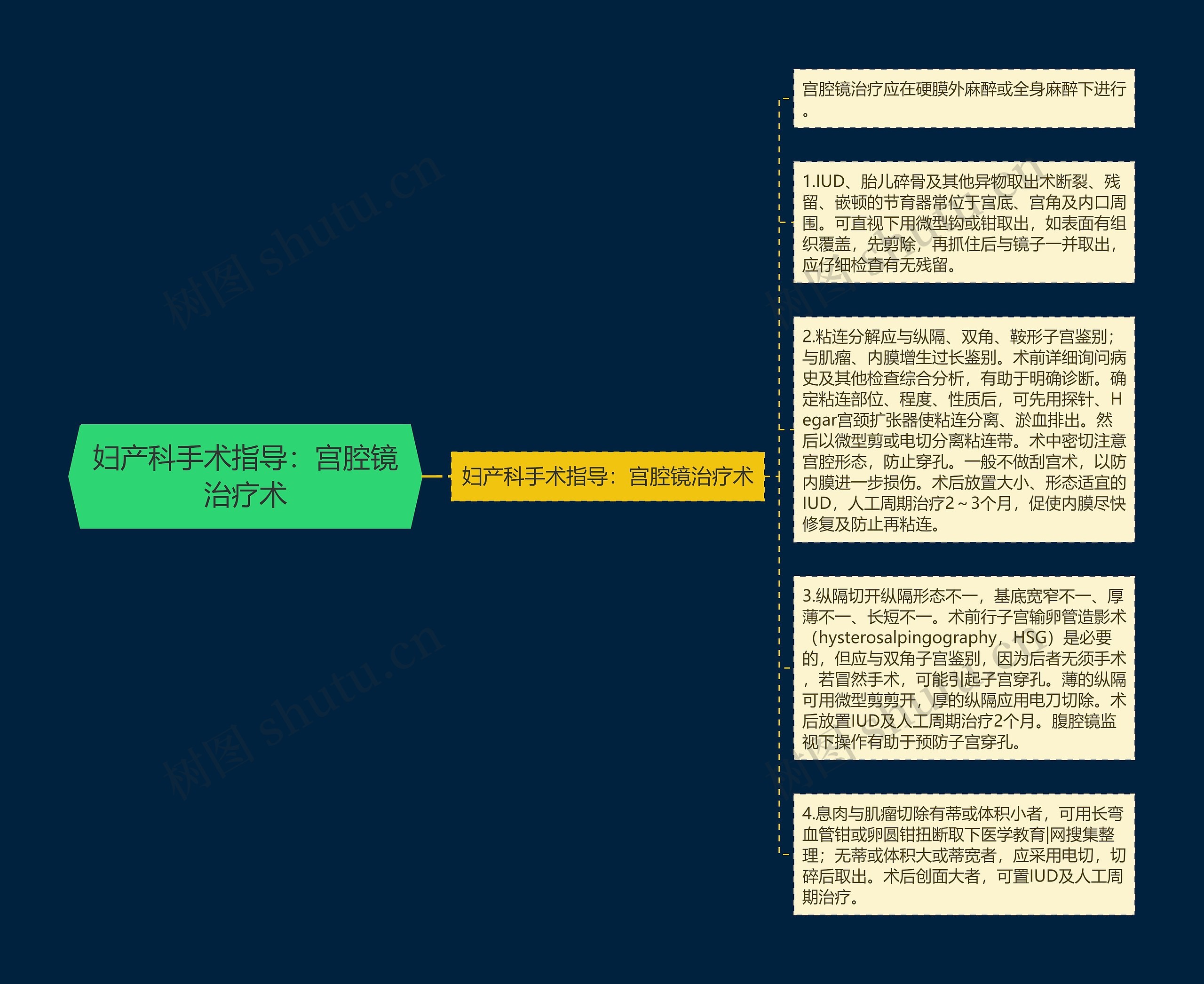 妇产科手术指导：宫腔镜治疗术思维导图