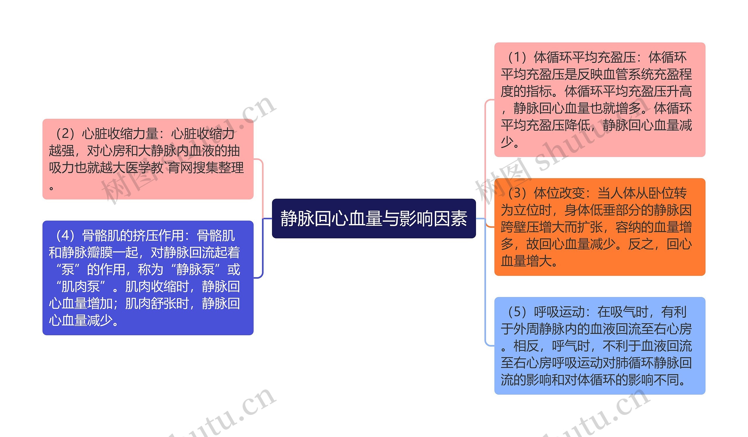 静脉回心血量与影响因素