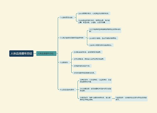 人体血液循环总结