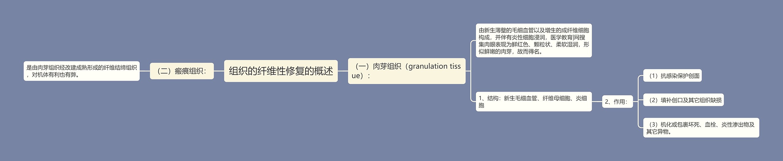 组织的纤维性修复的概述思维导图