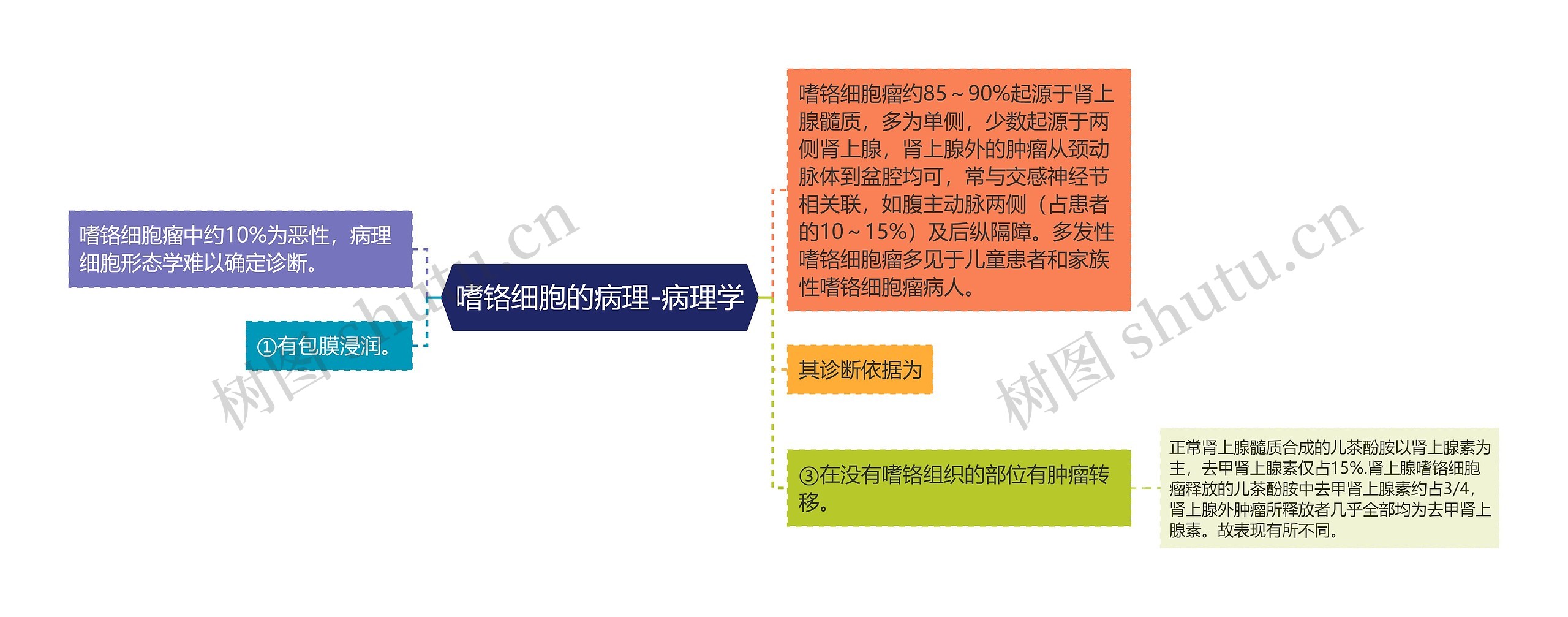 嗜铬细胞的病理-病理学思维导图