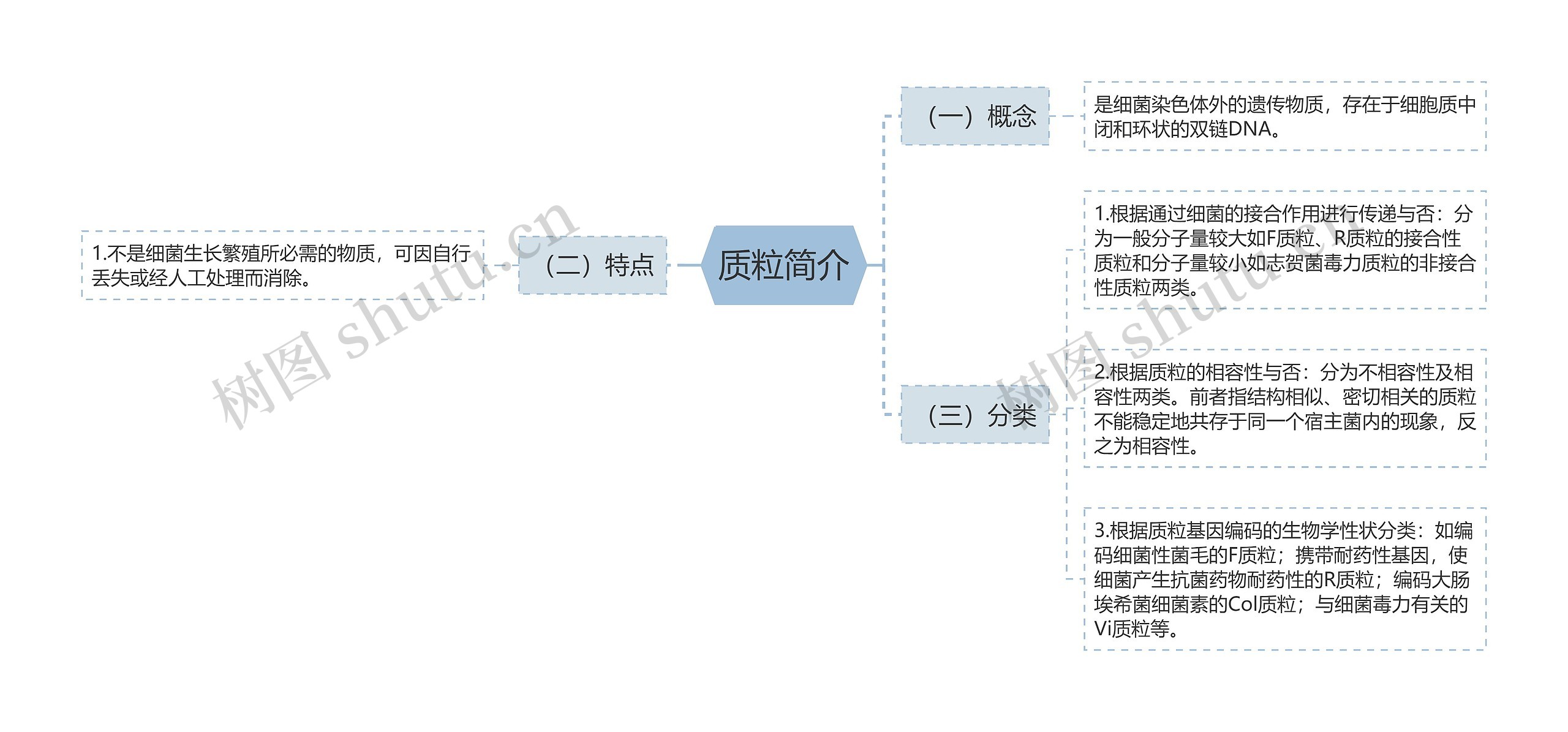 质粒简介