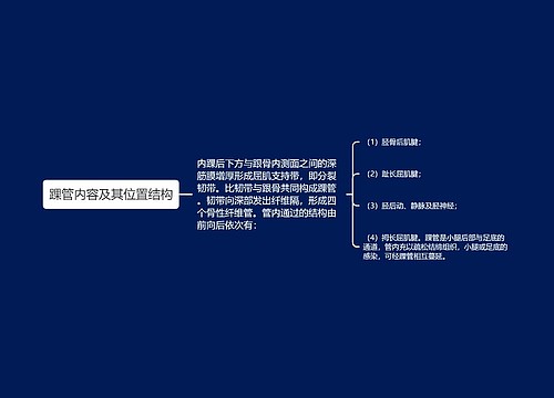 踝管内容及其位置结构