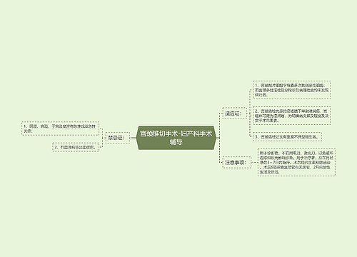 宫颈锥切手术-妇产科手术辅导