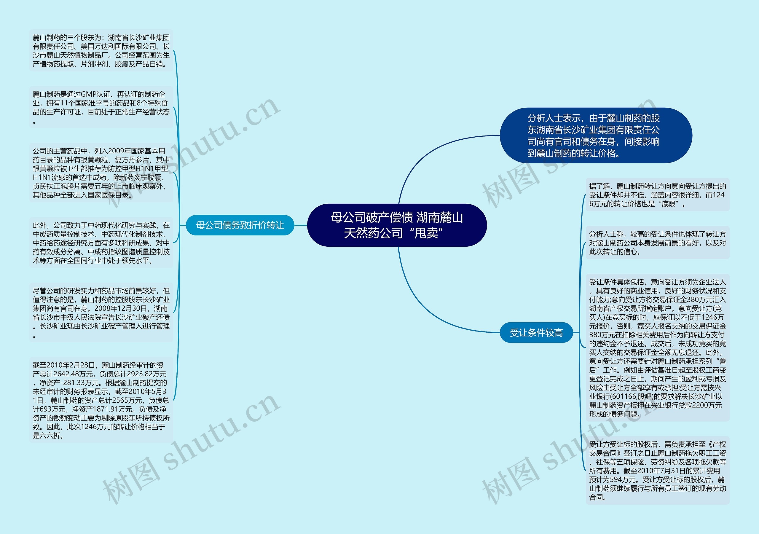 母公司破产偿债 湖南麓山天然药公司“甩卖”思维导图