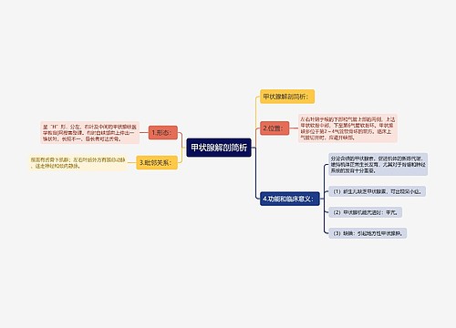 甲状腺解剖简析